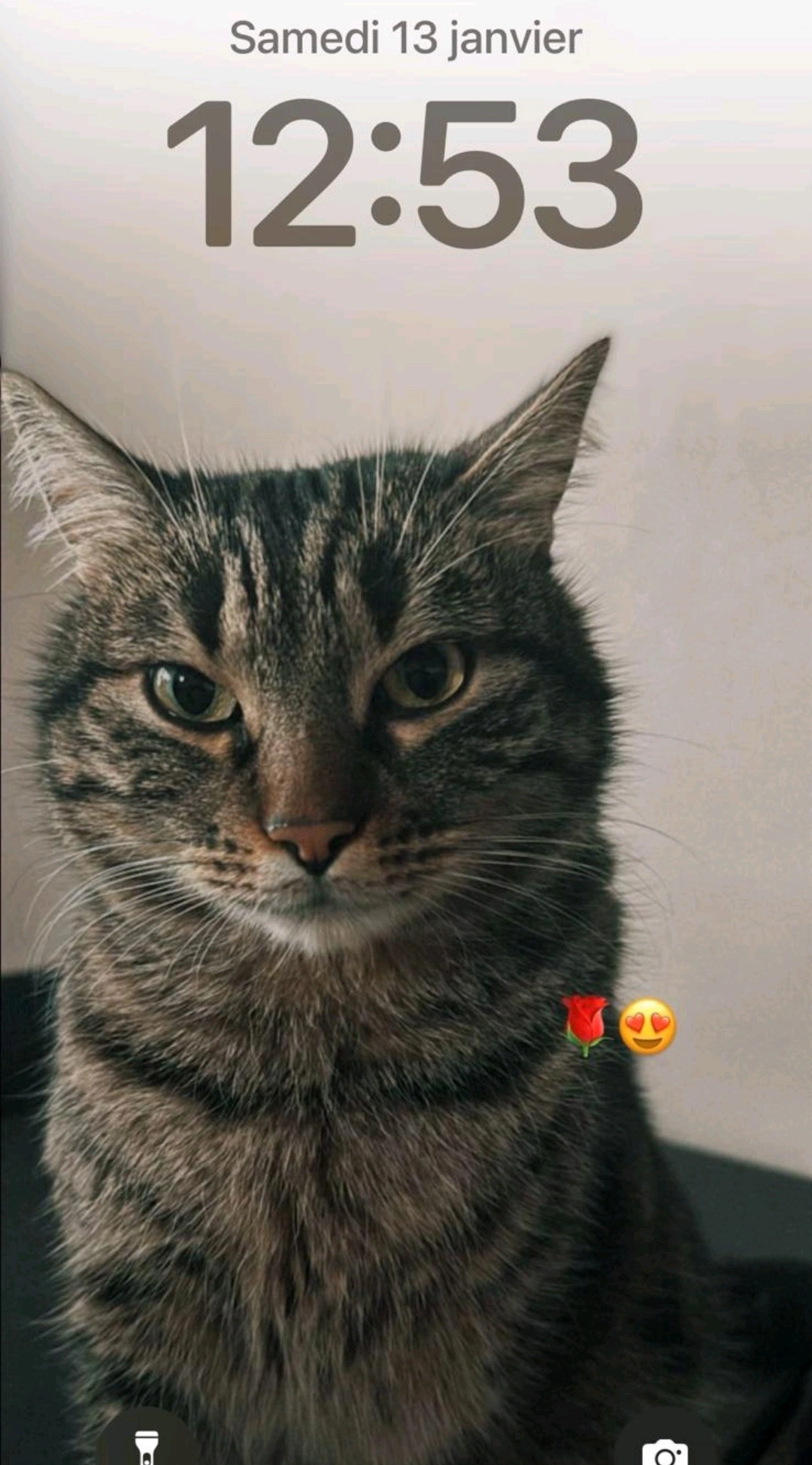 Mew - Passage de la Gare, Remiremont