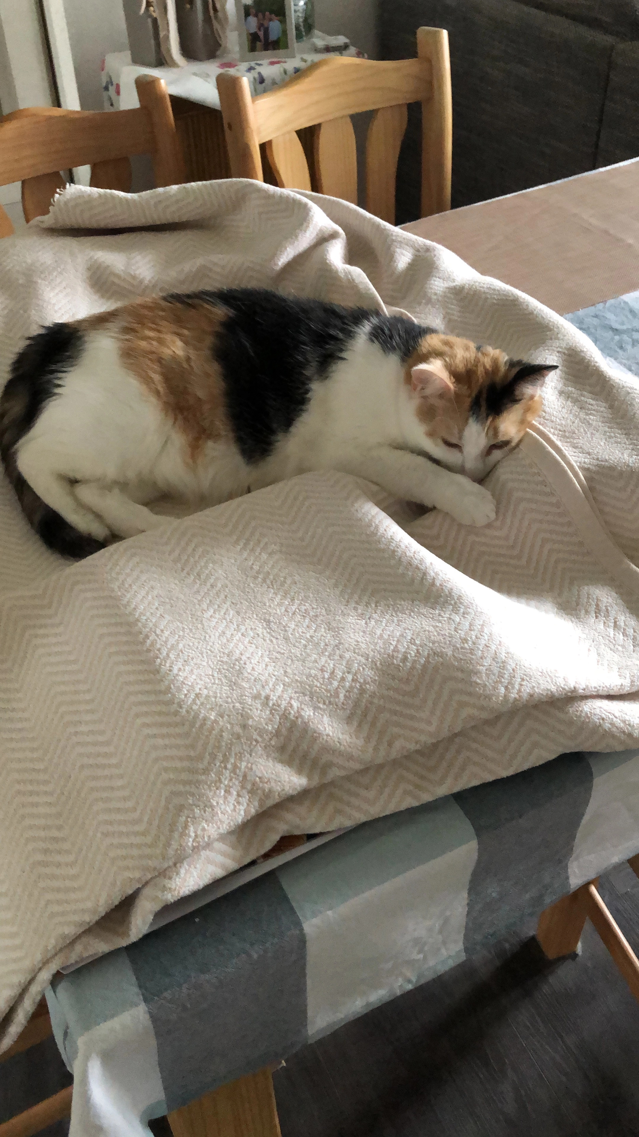 Spooky - Südberg, Ahlen