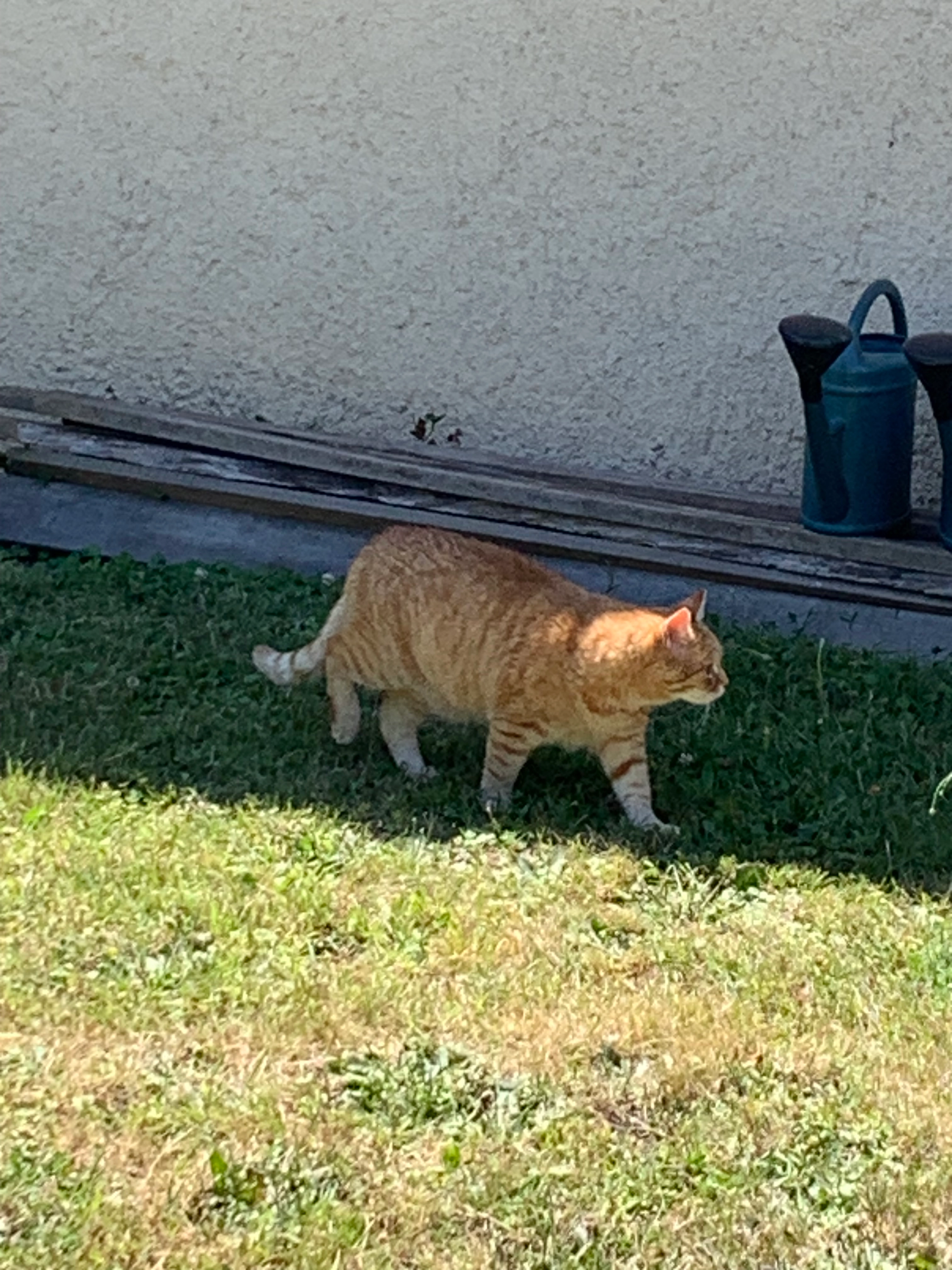 Cheri - Rue De La Vicomté, Pacy-sur-Eure