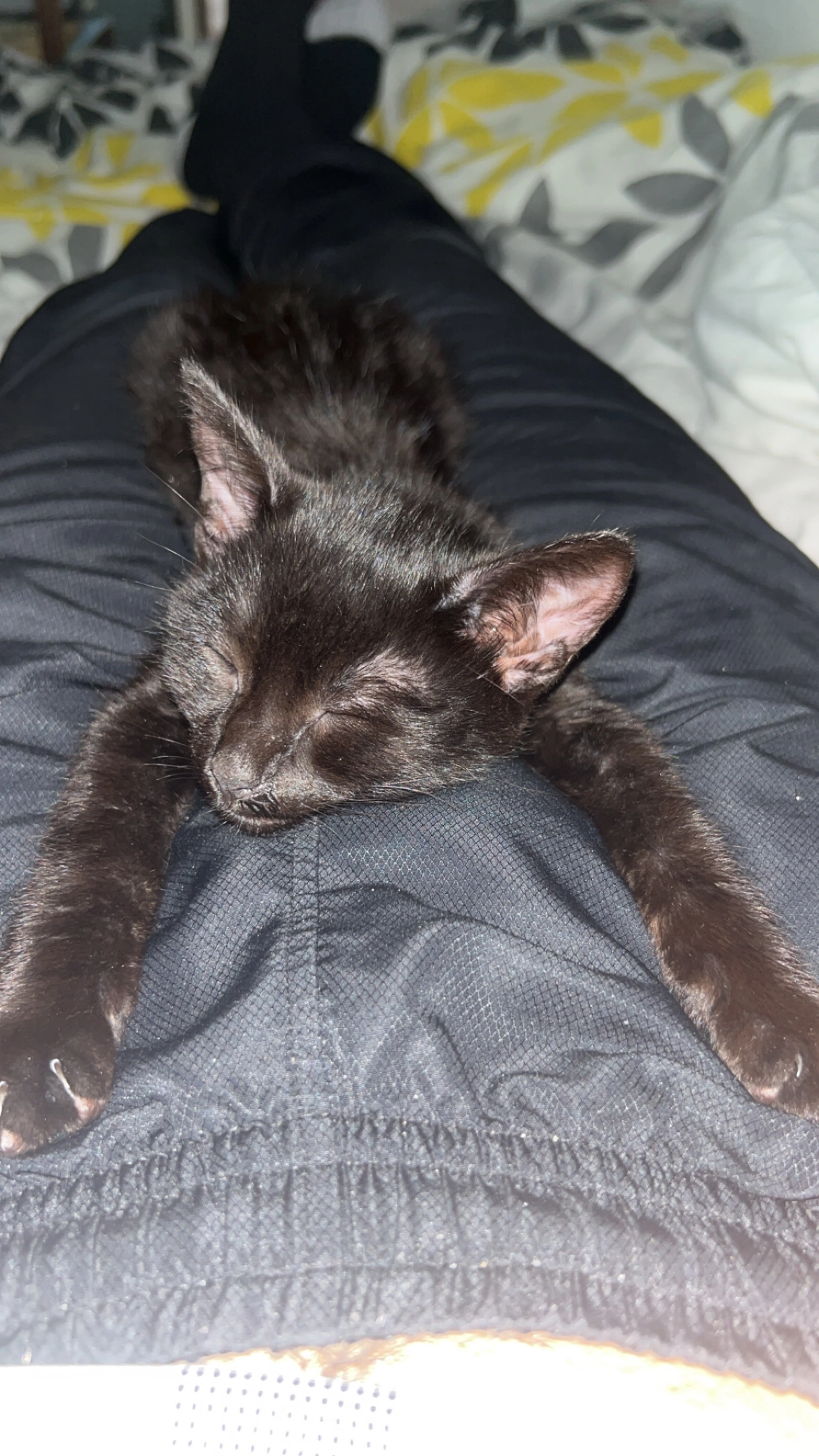 Ares - 69 Rue Pasteur, Dole