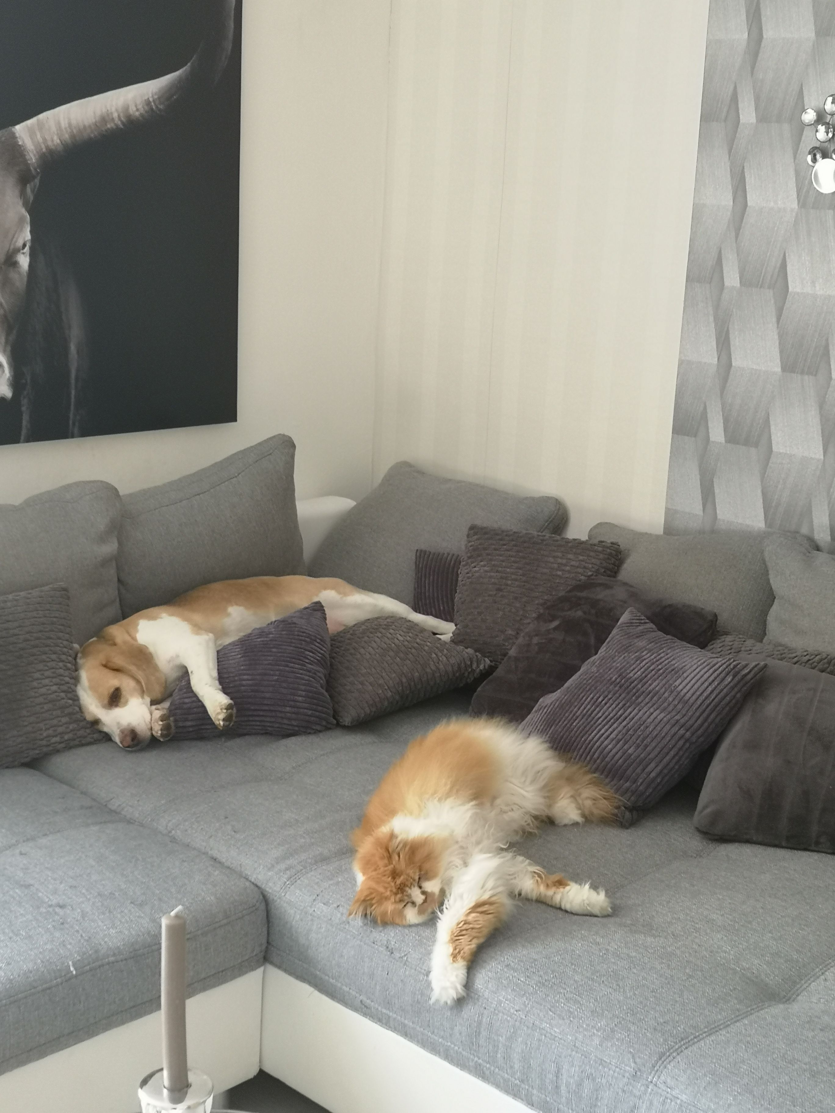 Simba - Mannsstraße, Stendal