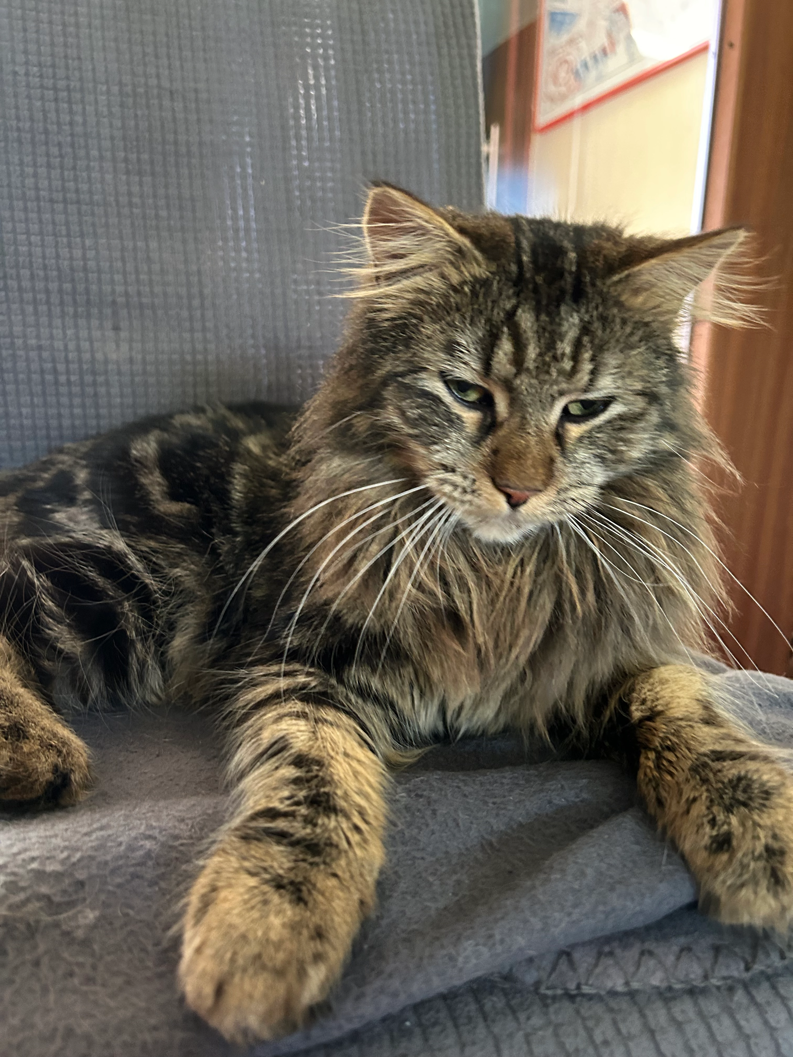 Fee - Dorfstraße, Wolmersdorf