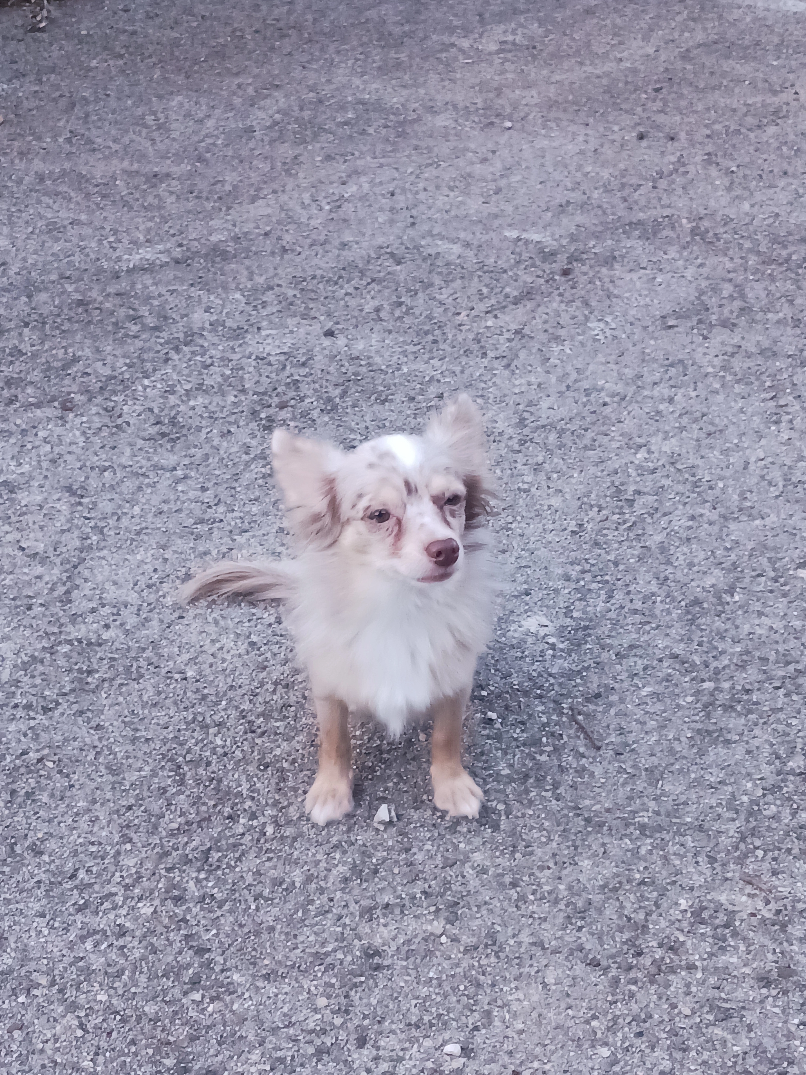 Uno - 643 Route des Andoulins, Solliès-Toucas