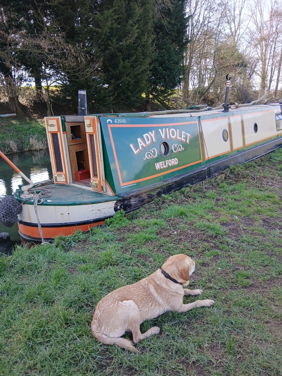 Dougie  - Church Walk, Bicester