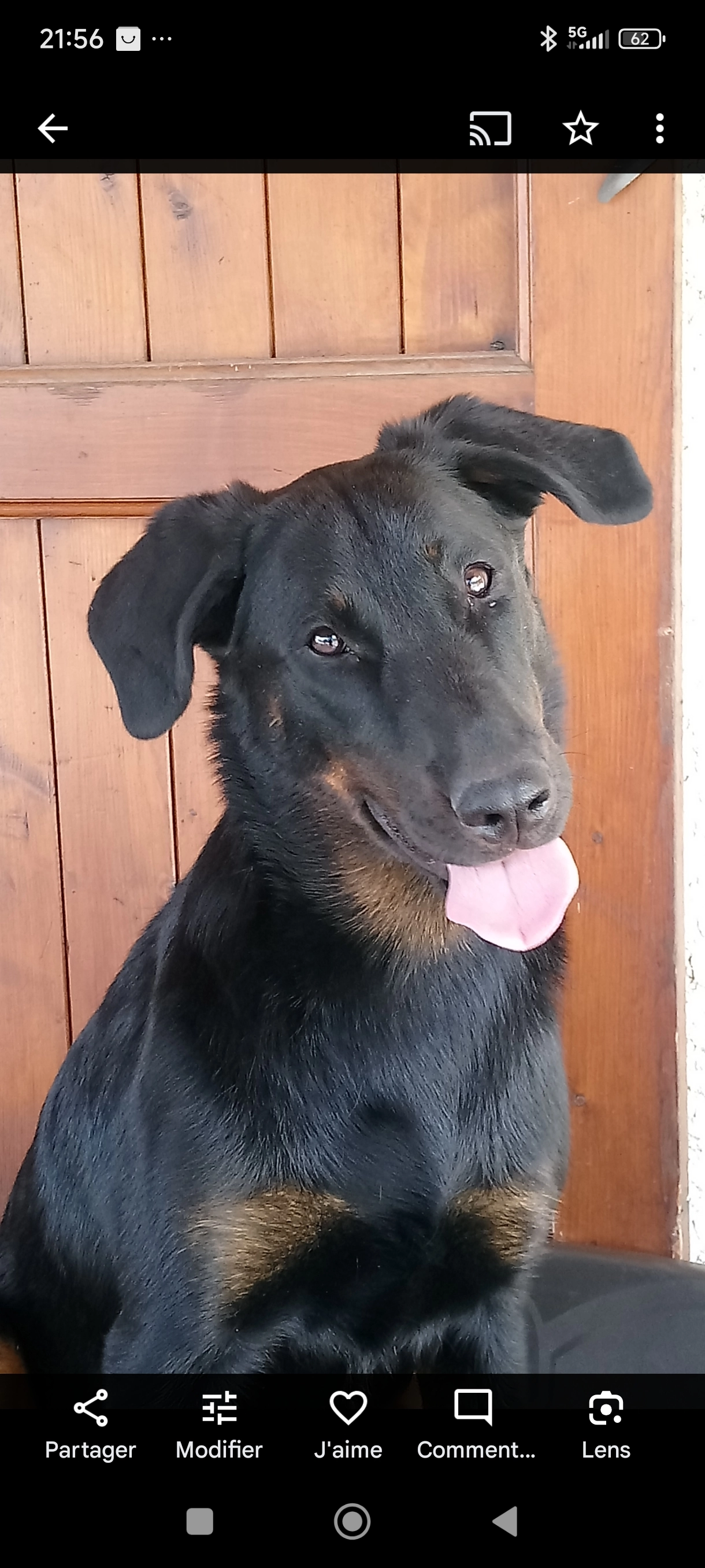 Osiris - Rue du Pré de l'Âne, Chambéry