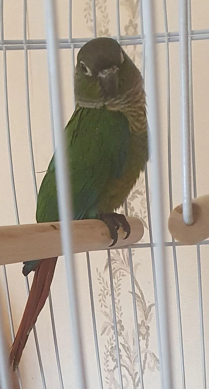 Babs  - Tallaght Road, Templeogue