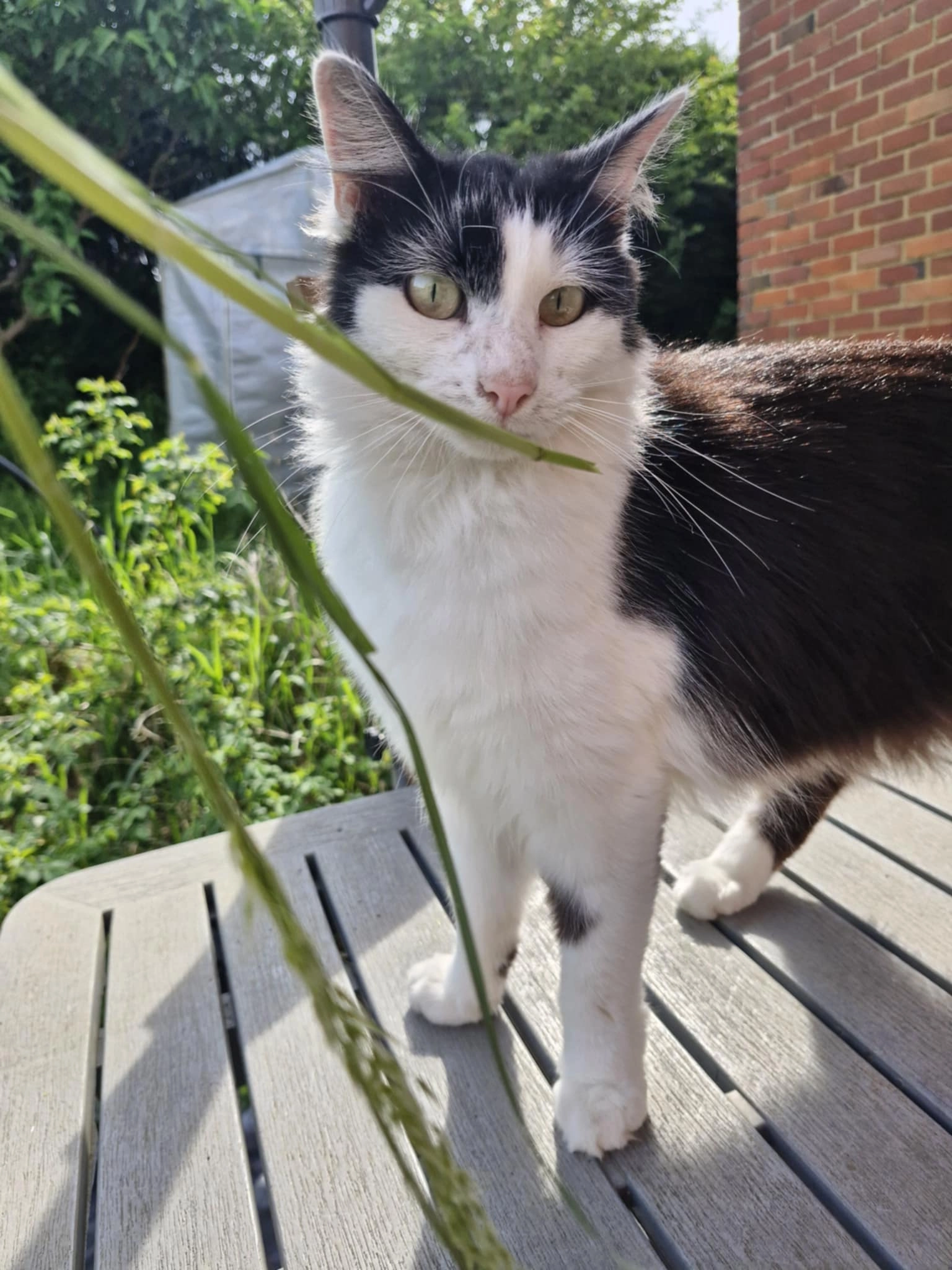 Jack - Les Trois Bonniers, Namur