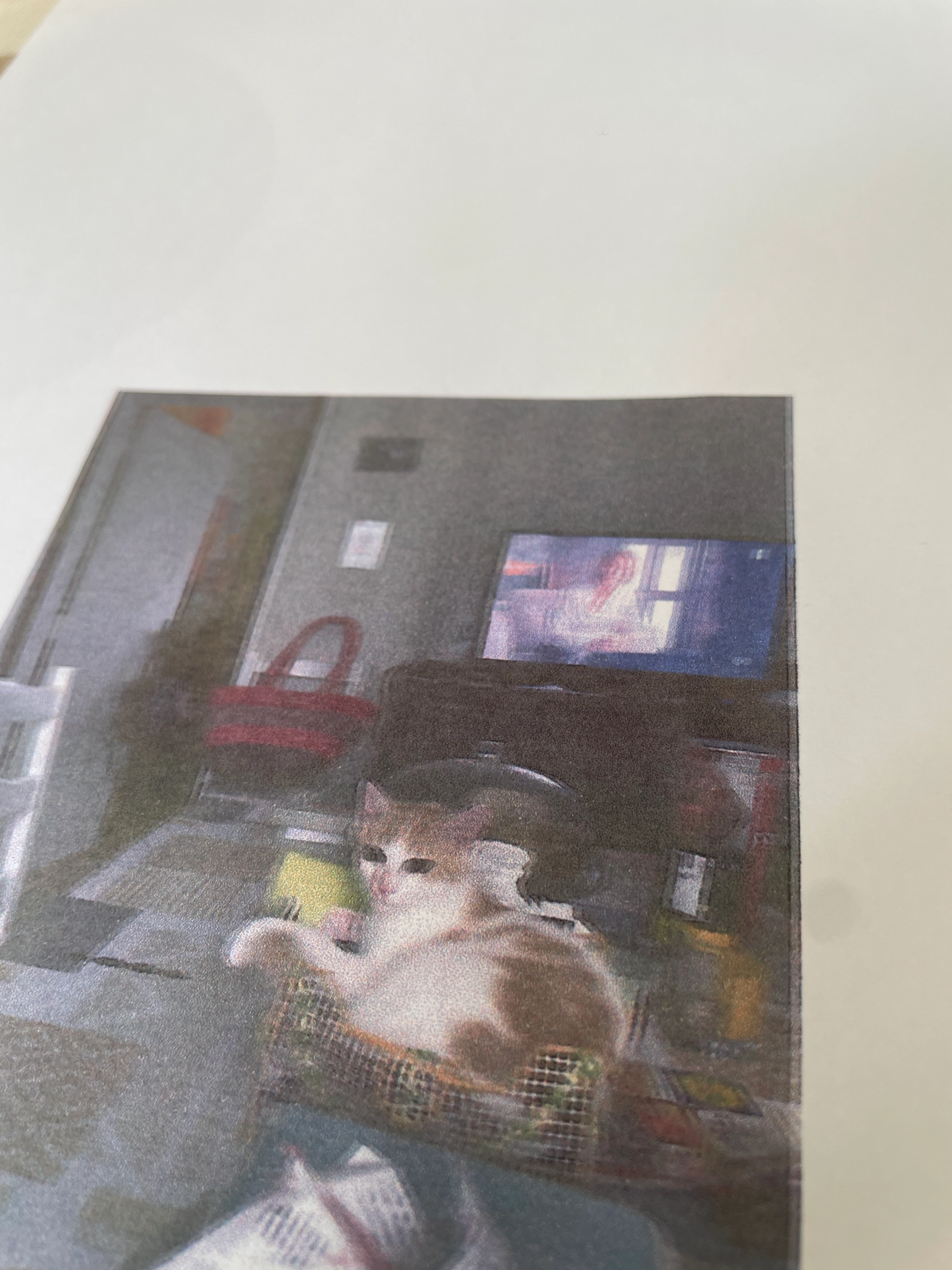 Daryl - Rue de BΓ©theny, Reims