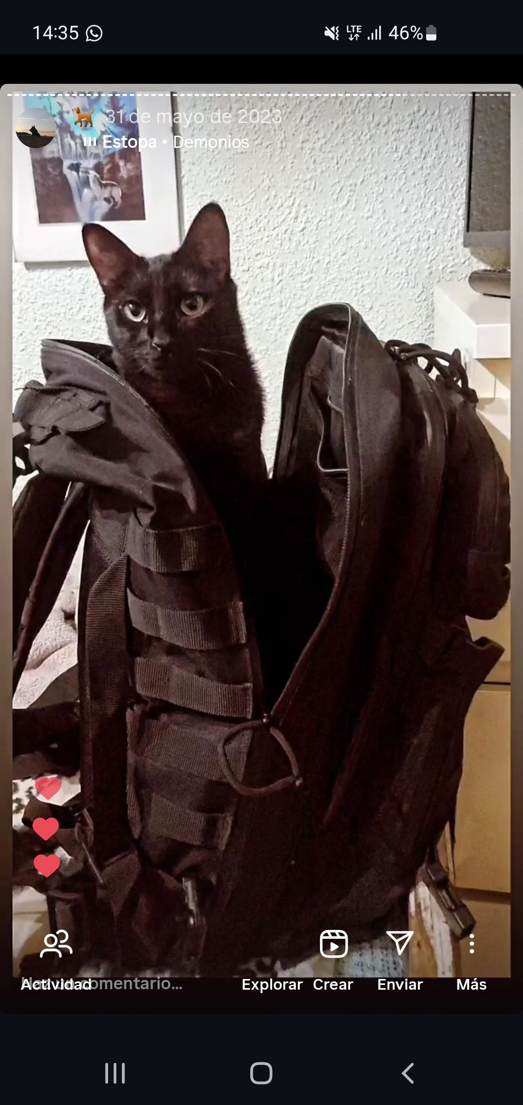 Mora - Calle de Silvestre Ochoa 11, Castro-Urdiales