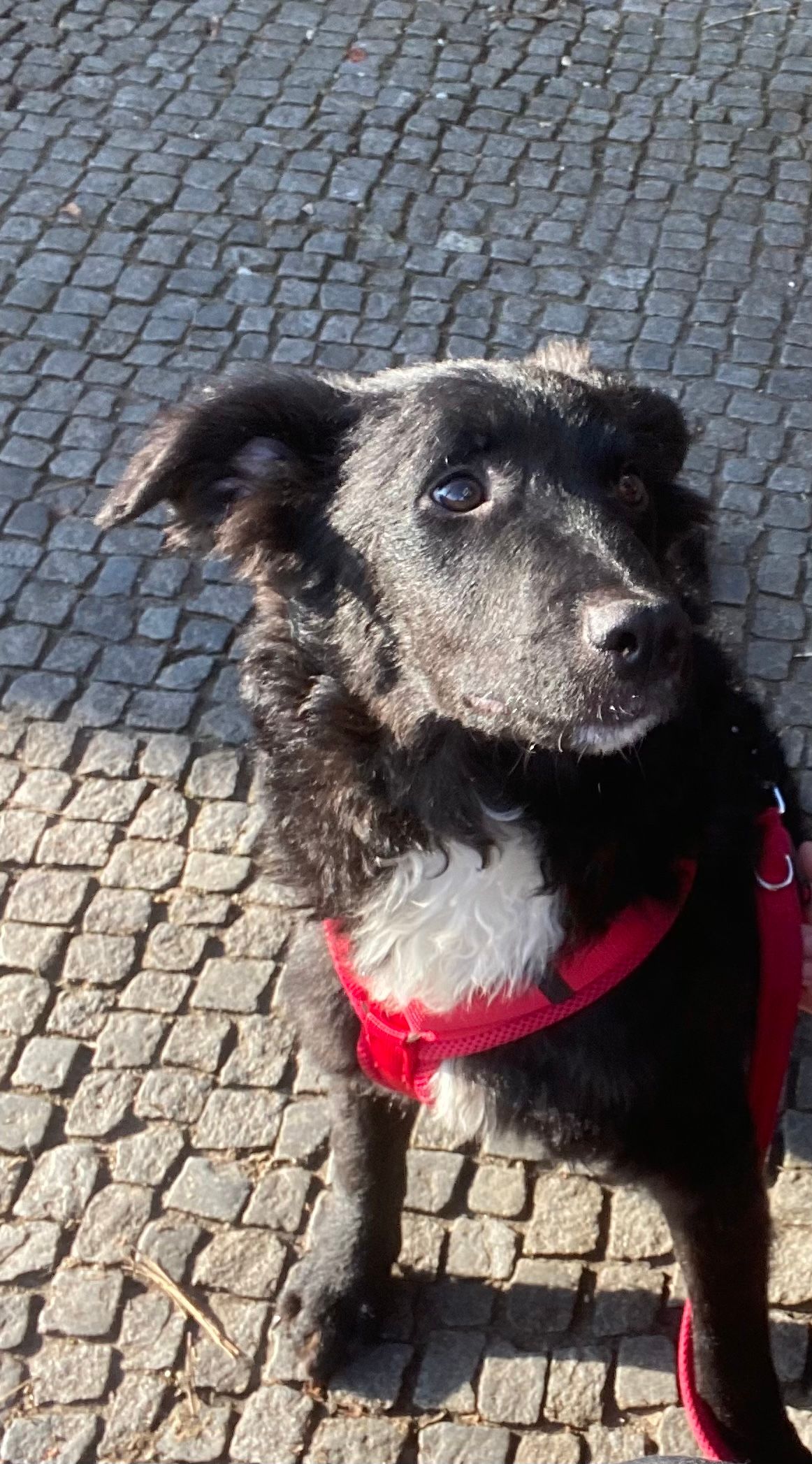 Money  - Sammlungsgasse, Ulm