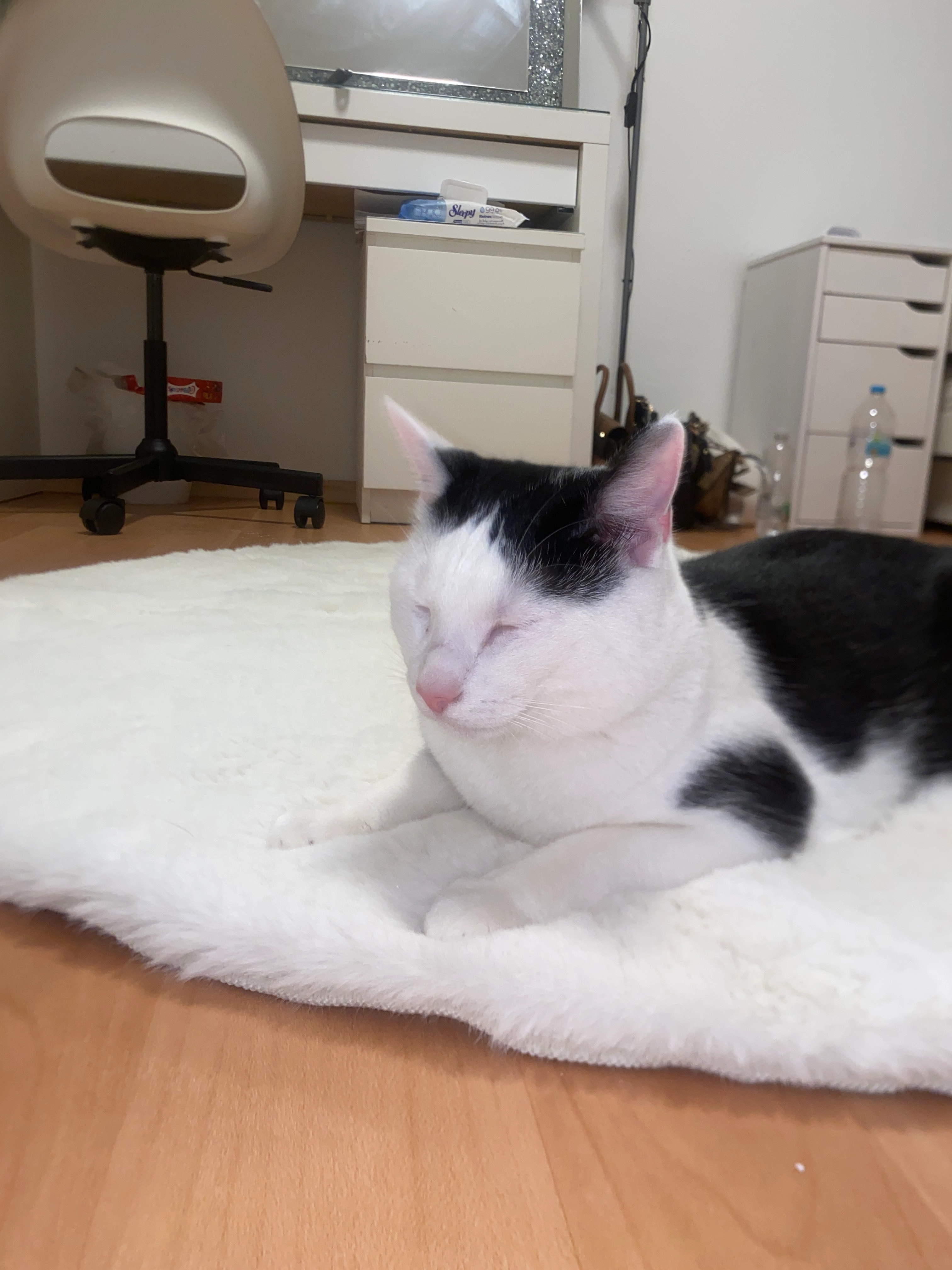 Ari - Adlmannsberger Weg, Ingolstadt