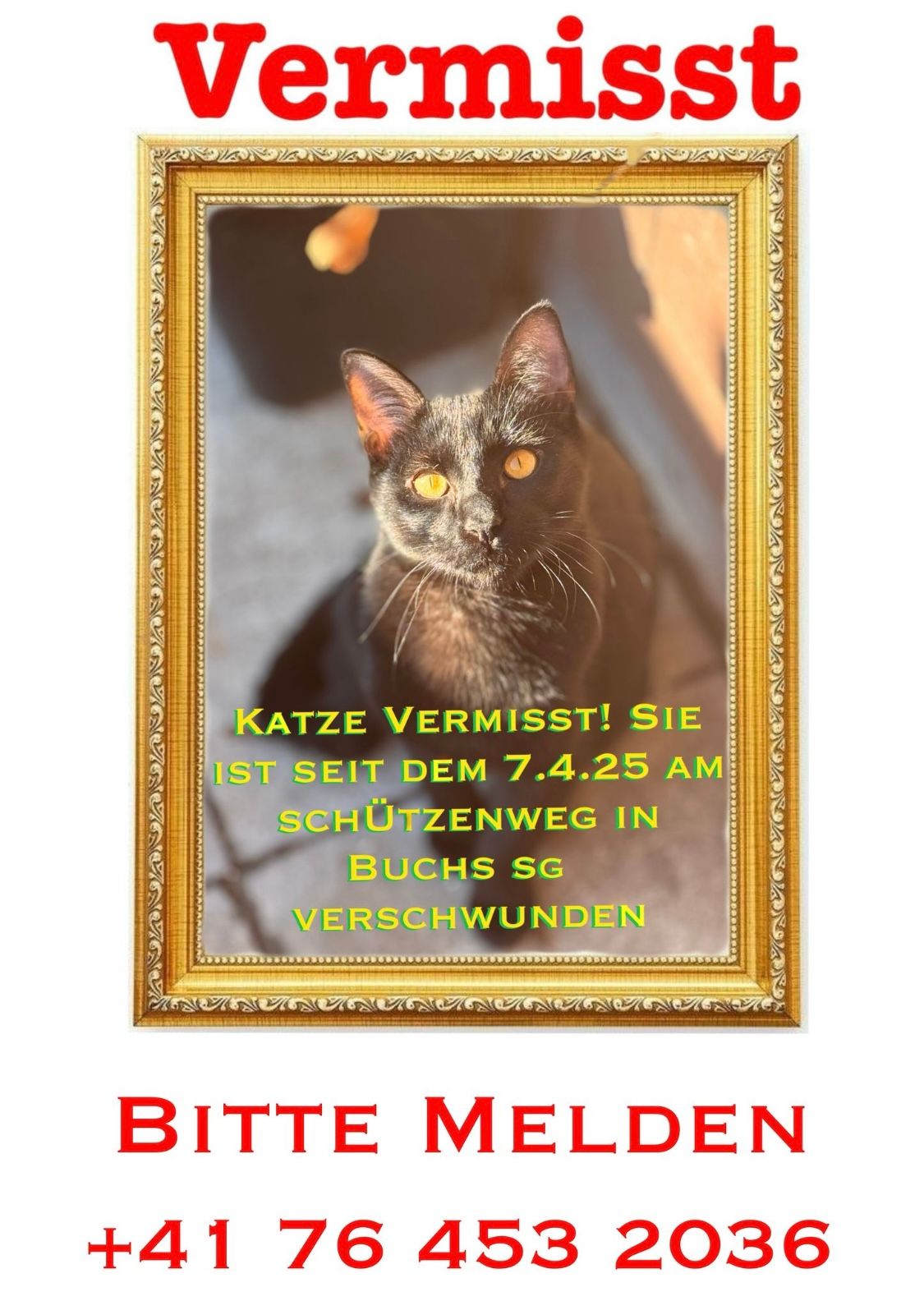 Pantera - Schützenweg, Buchs