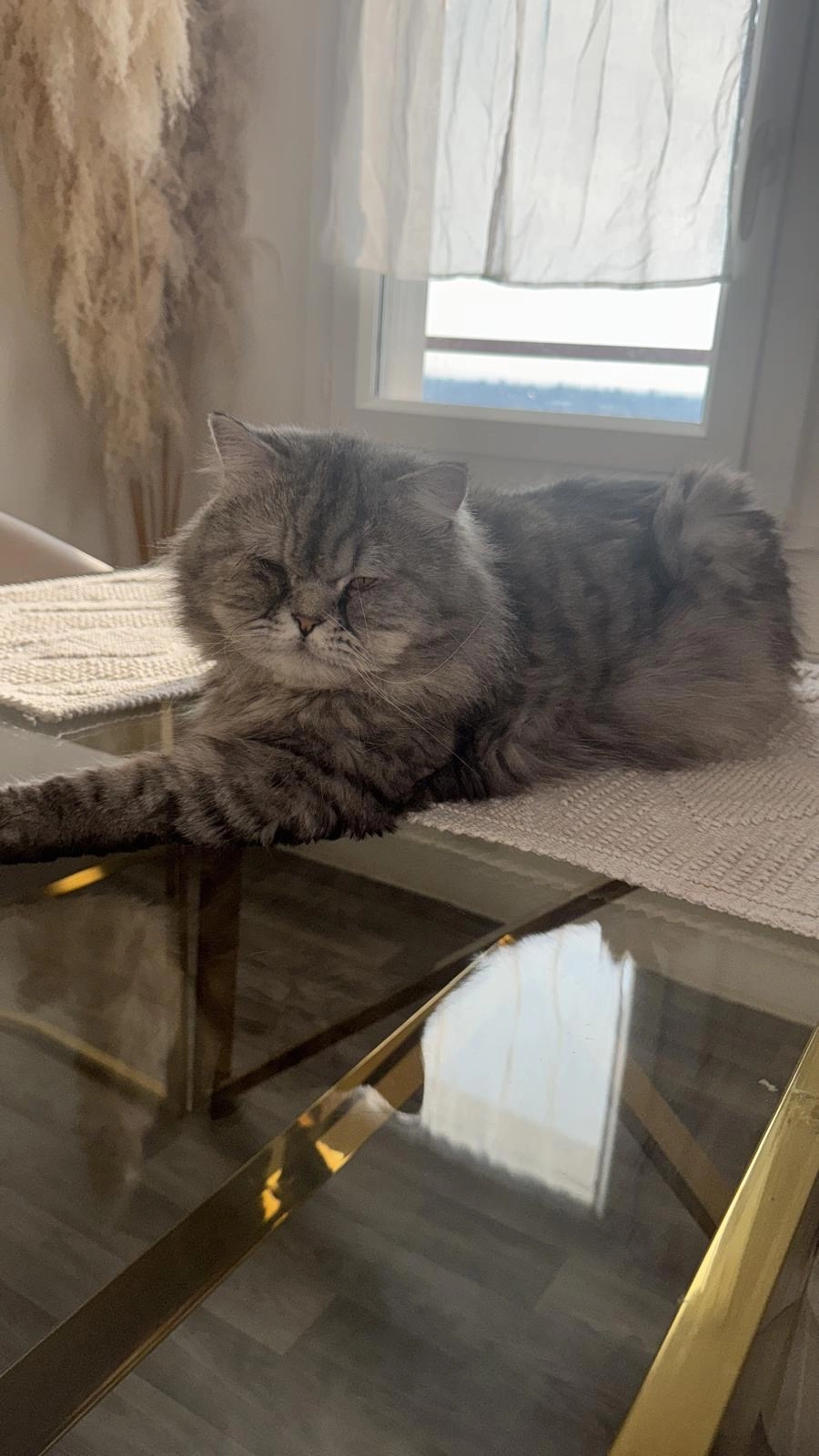 Rio - Chemin du Chalet 6, Le Locle