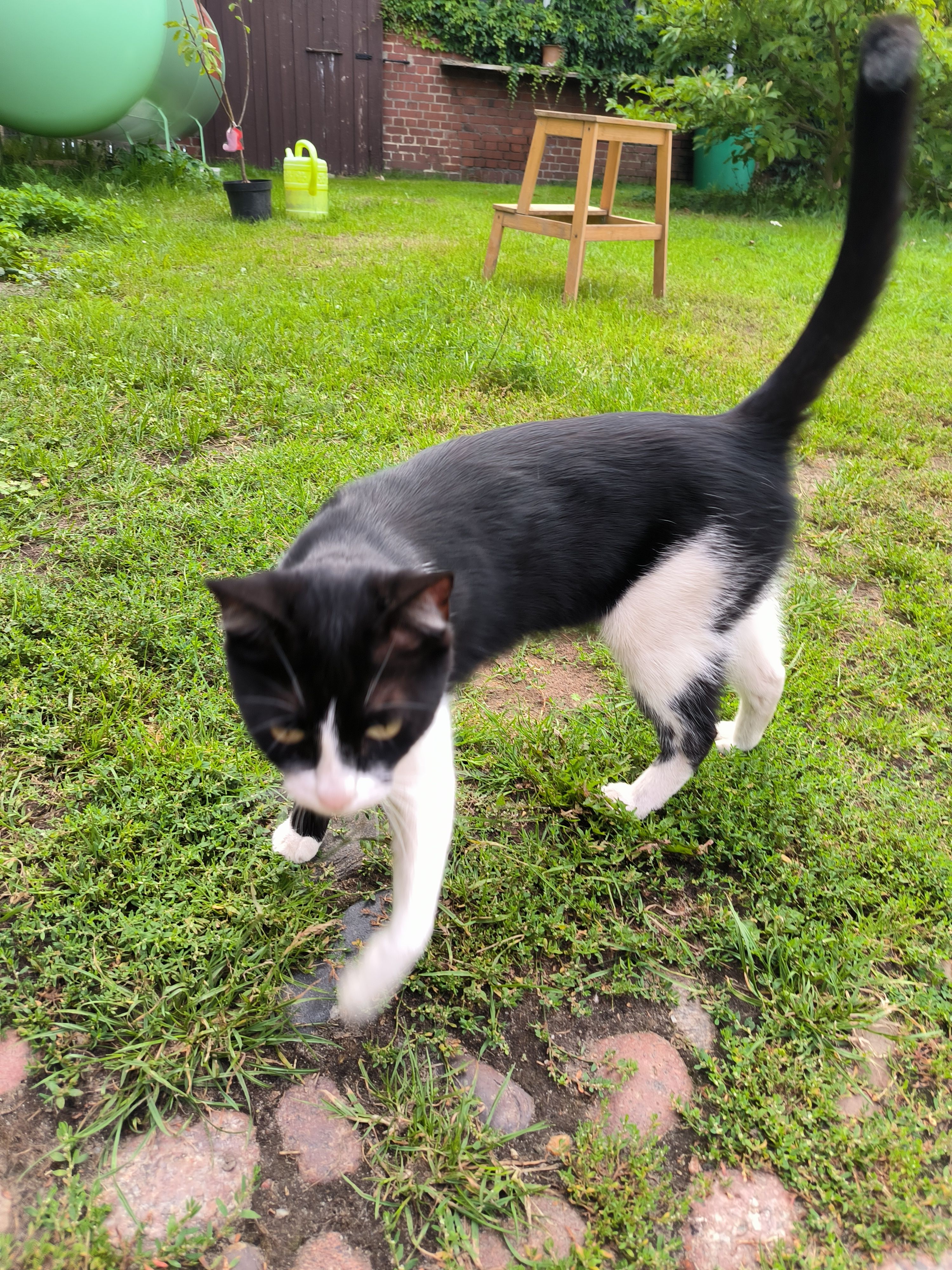 Bounty - Senster Dorfstraße, Coswig
