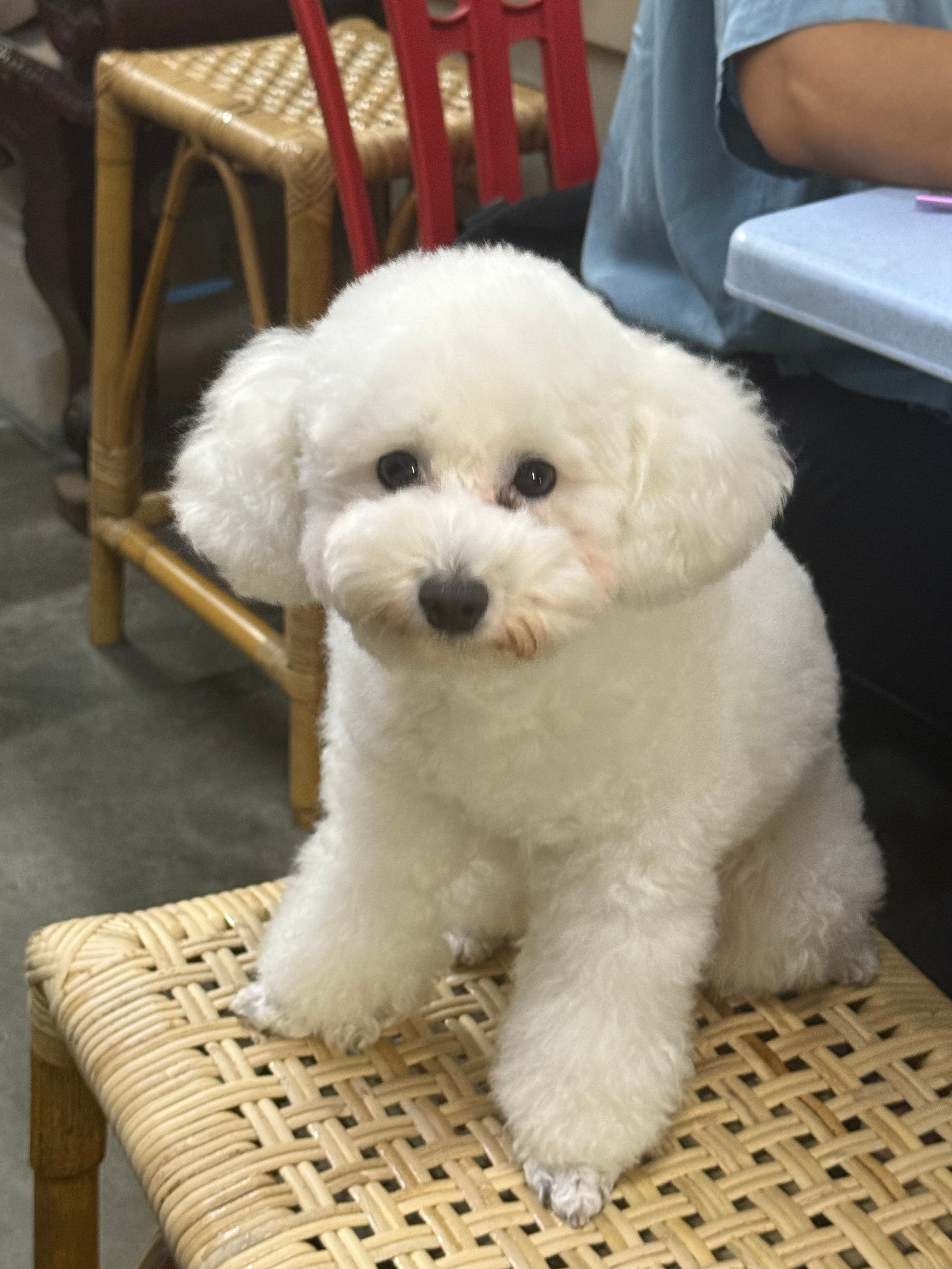 Loki - Jalan Seroja, Kajang