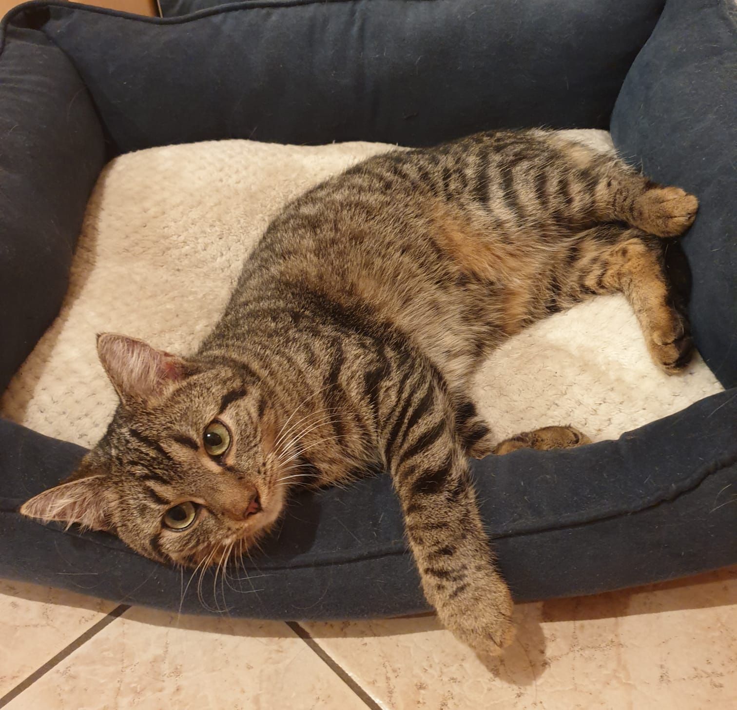 Lilly - Kulmgasse, Schleiz