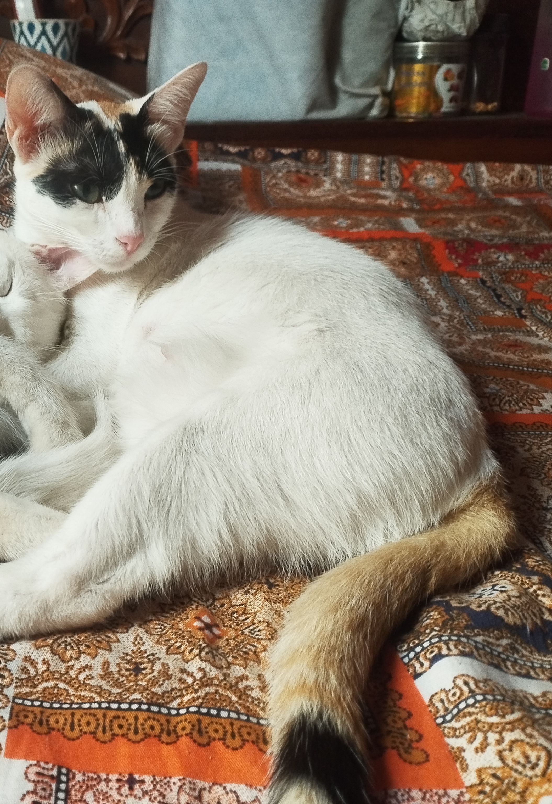 Tuktuk - Kafrul Thana, Dhaka