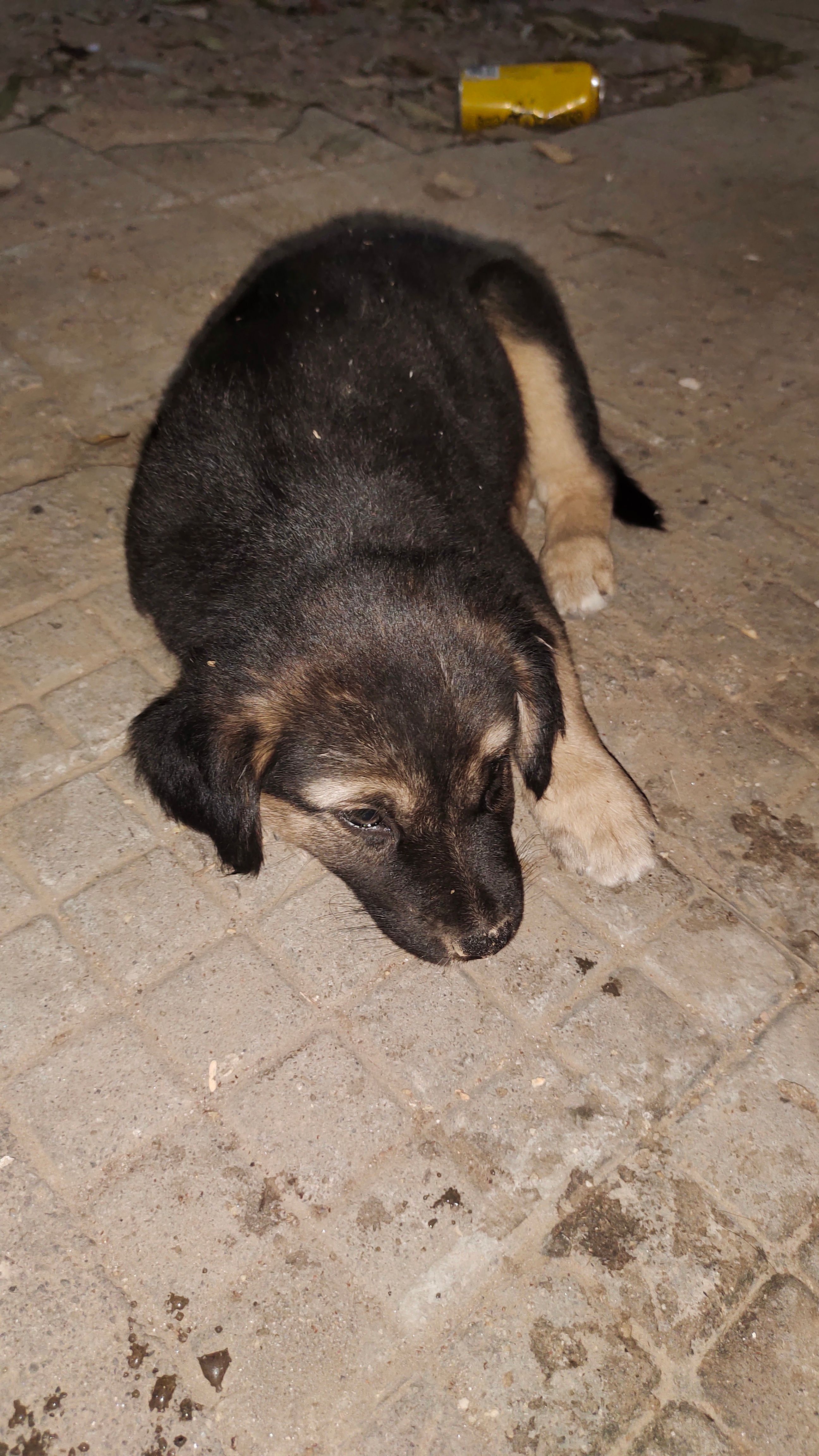 Dholu - Guru Ravidas Marg, ami chand khand, Giri nagar, Skating park, New Delhi