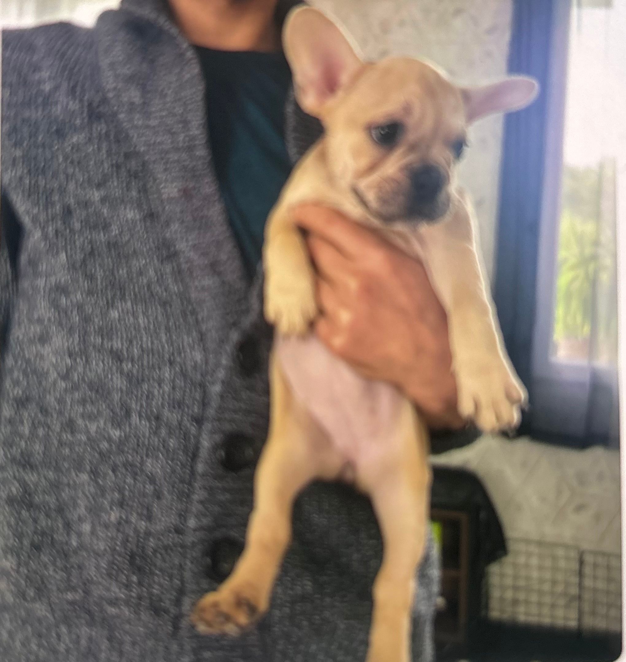 Lilo - Rue du Crétinier, Mouscron