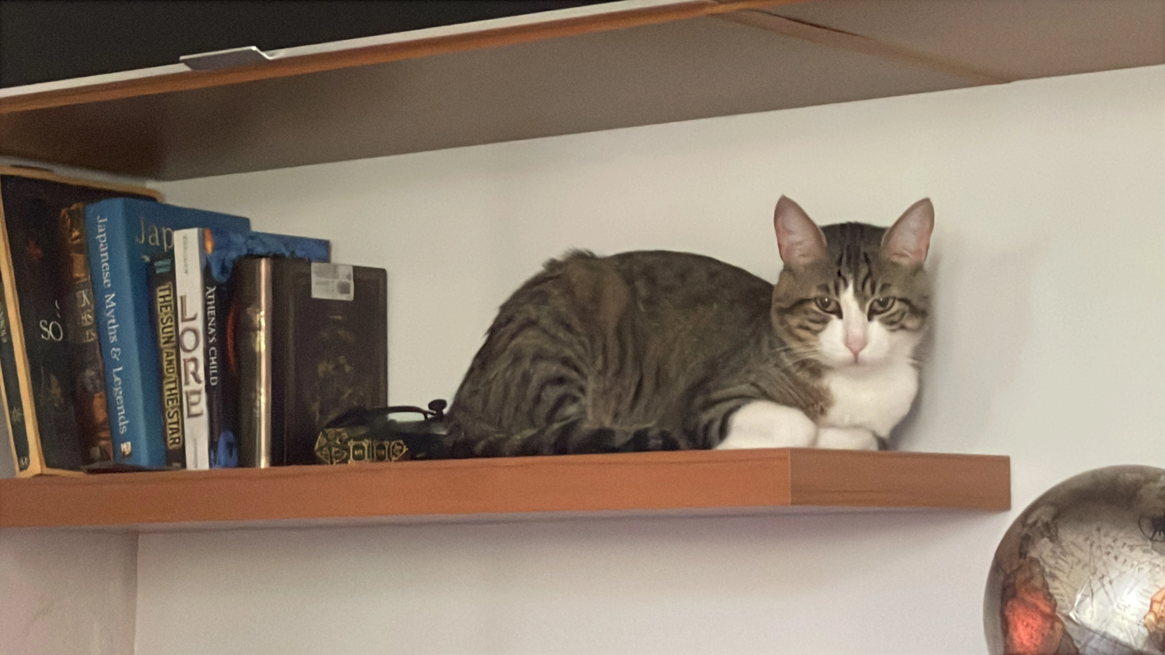 Anakin - Piazza Monsignor Cataldo Naro, Terrasini