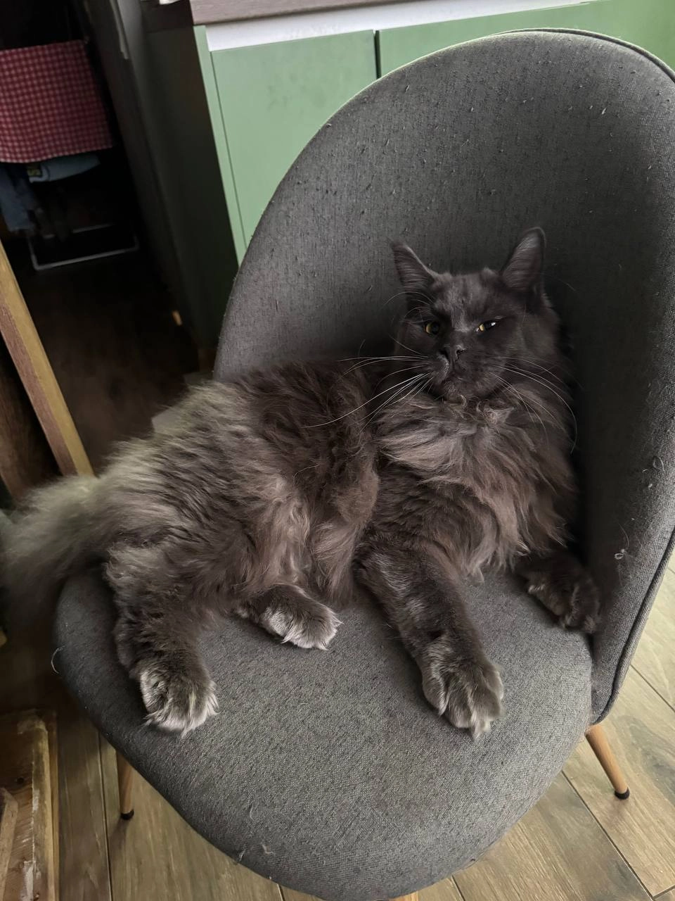 Cecil - Calle Olivos, Murcia