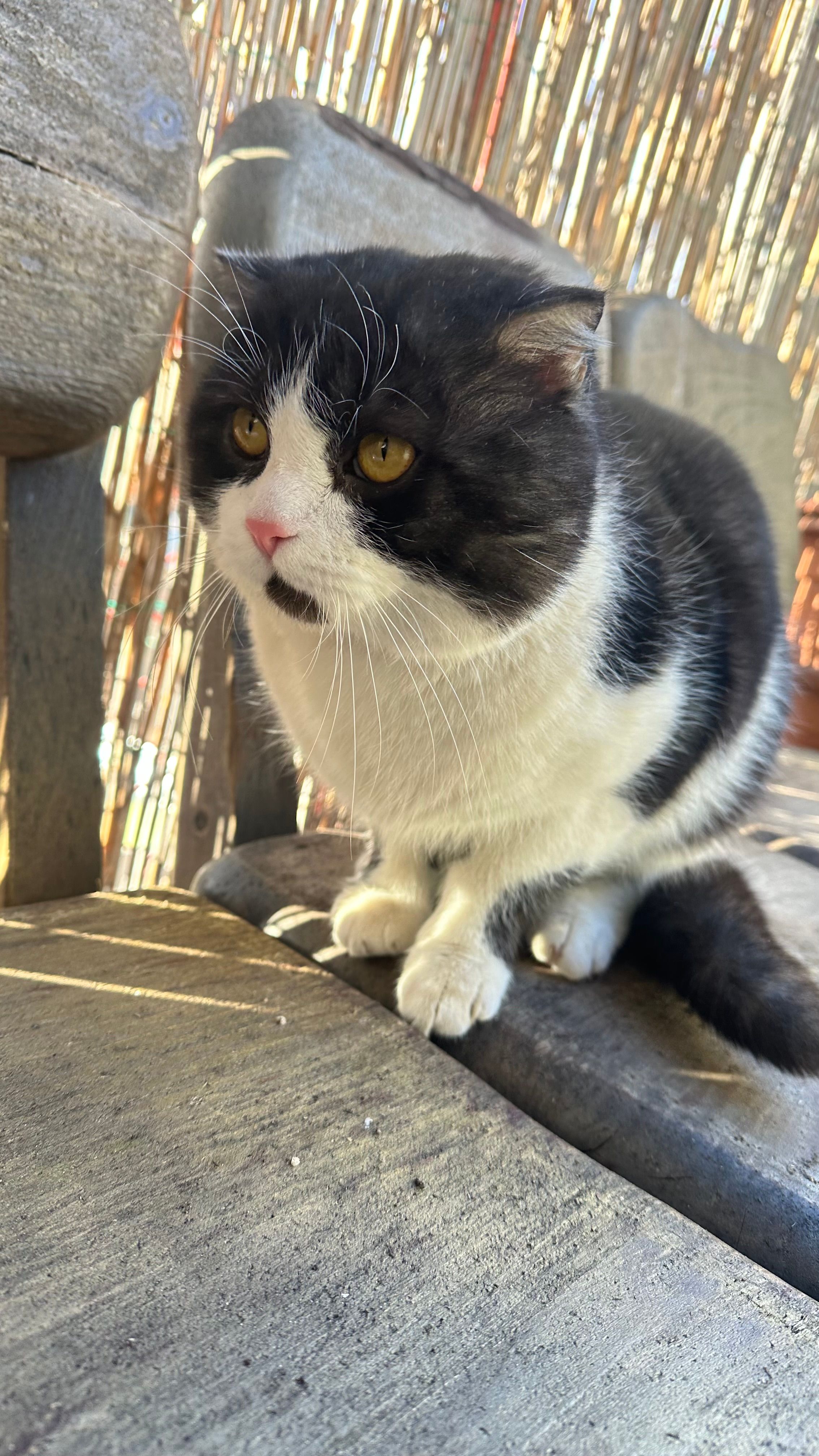 Moka  - Josef-Graf-Gasse 4, Bruck an der Mur