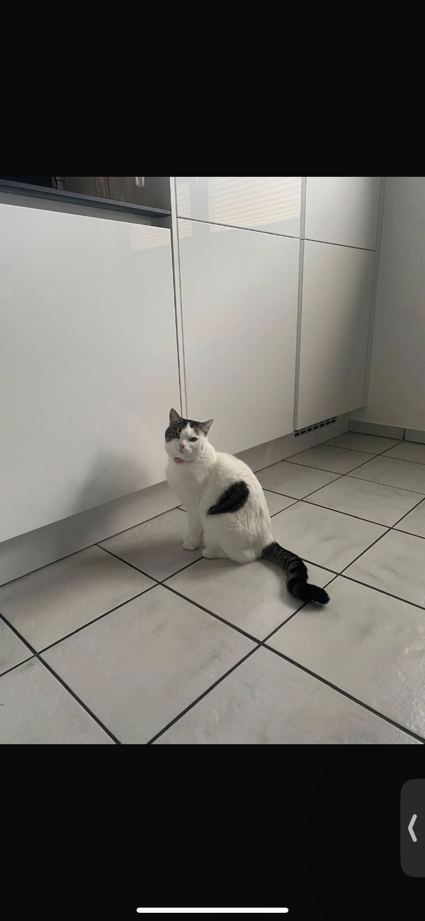 Nelly - Keilergrund, Steinfurt