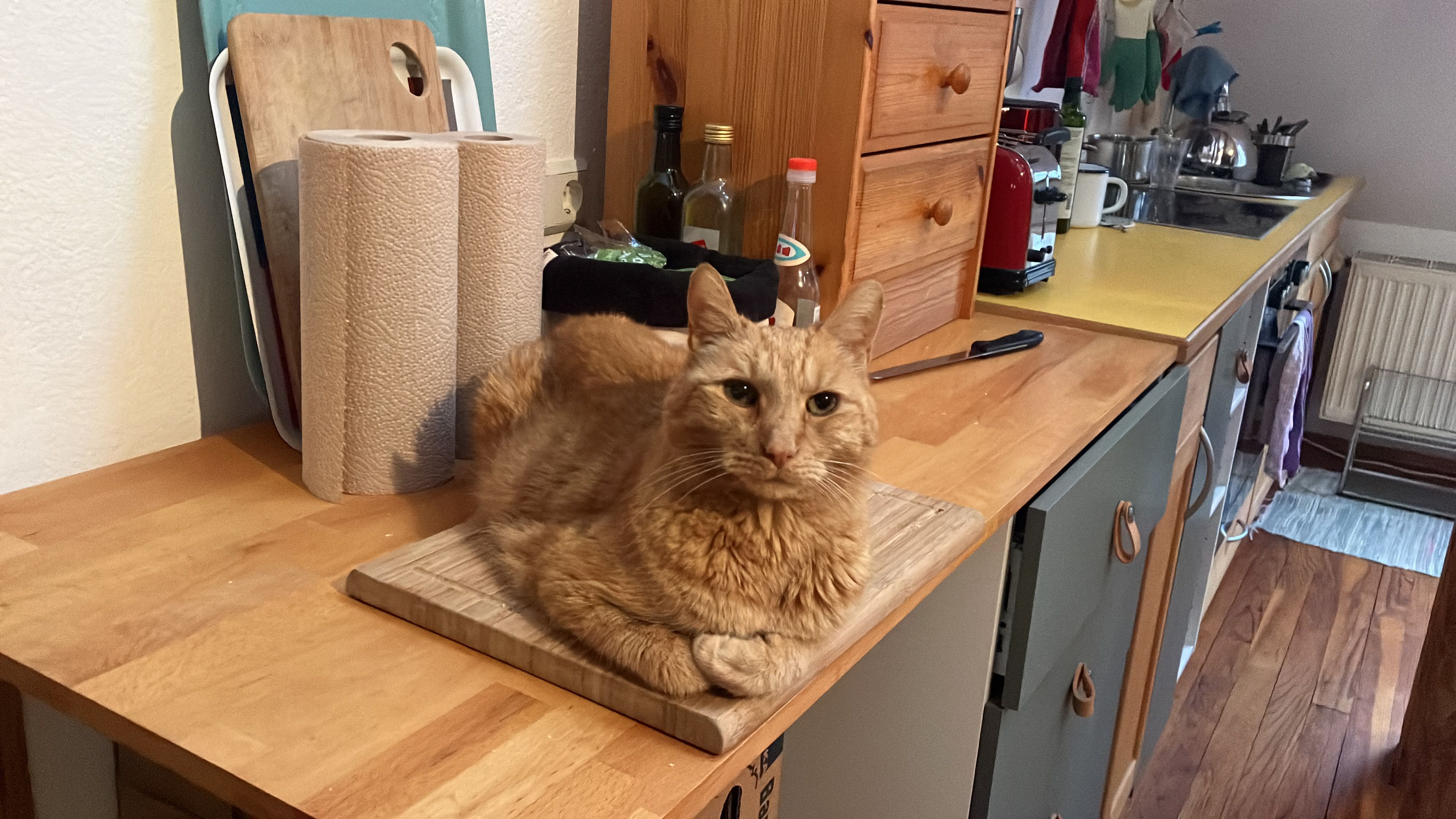 Katerle - Schürmannsweg, Bücken