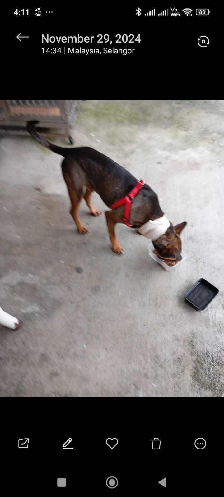 Rahman - Jalan Puchong, Dengkil