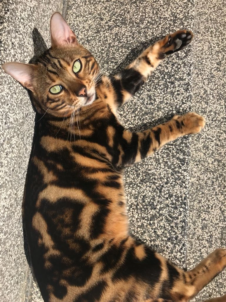 Maxi - Marburger Straße, Gießen