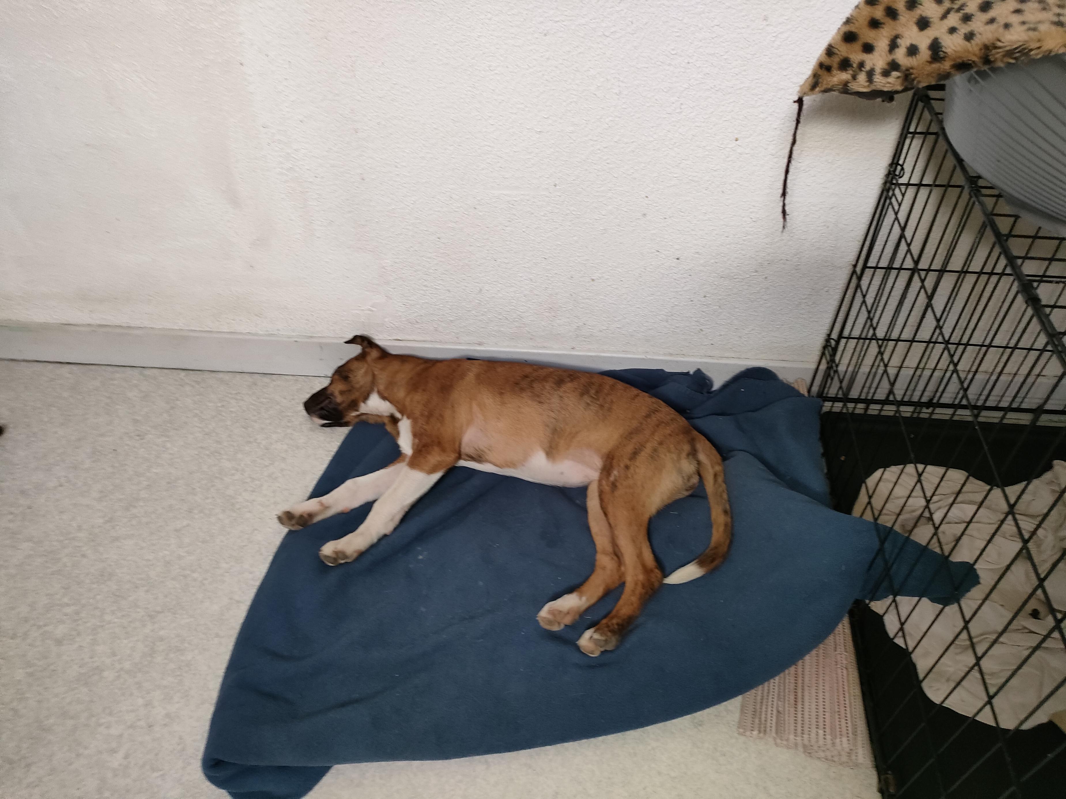 Queen - Route de Vinezac, Uzer