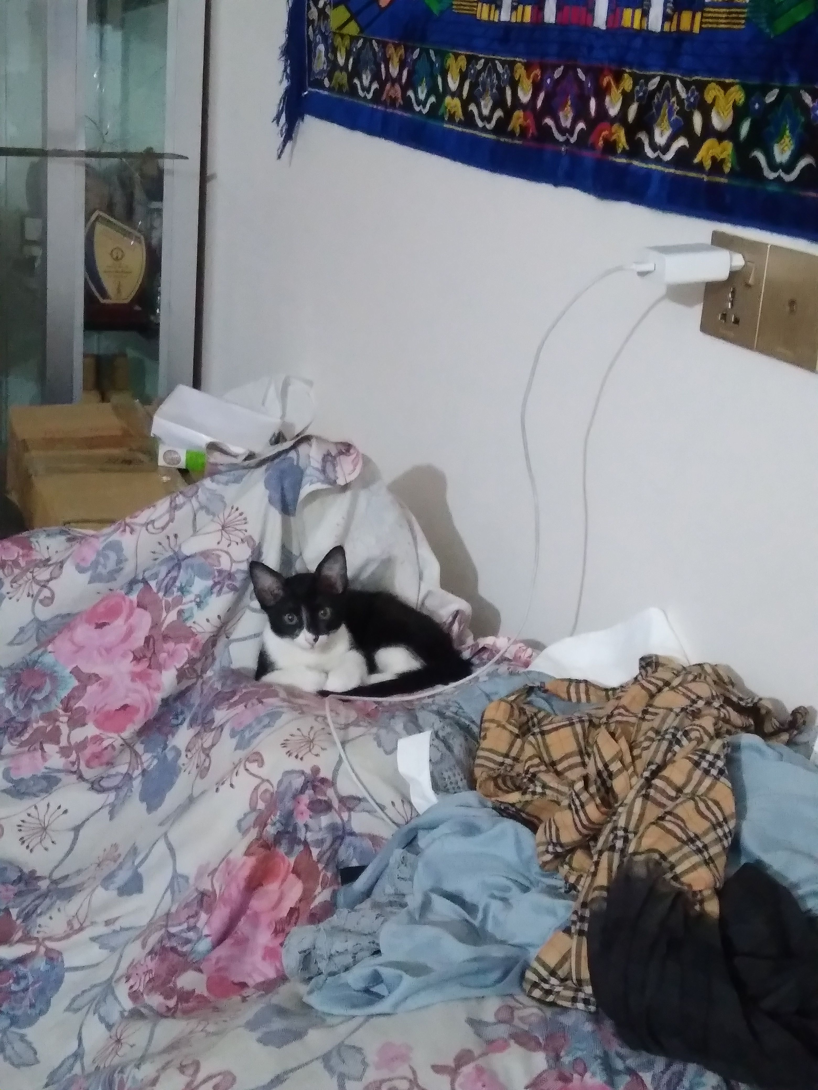 Michan - Rampura, Dhaka