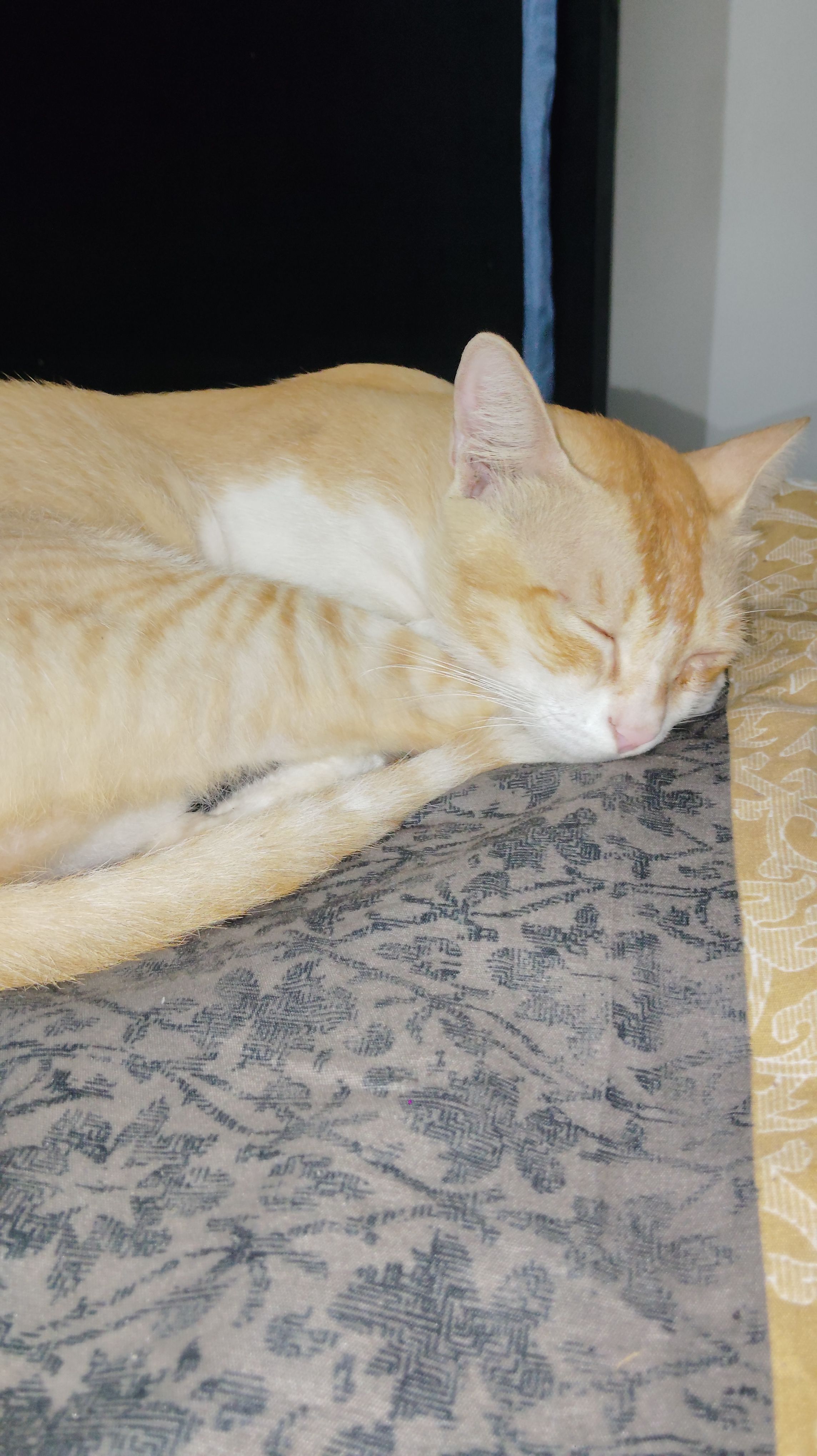 Cooper - Chi V, Greater Noida