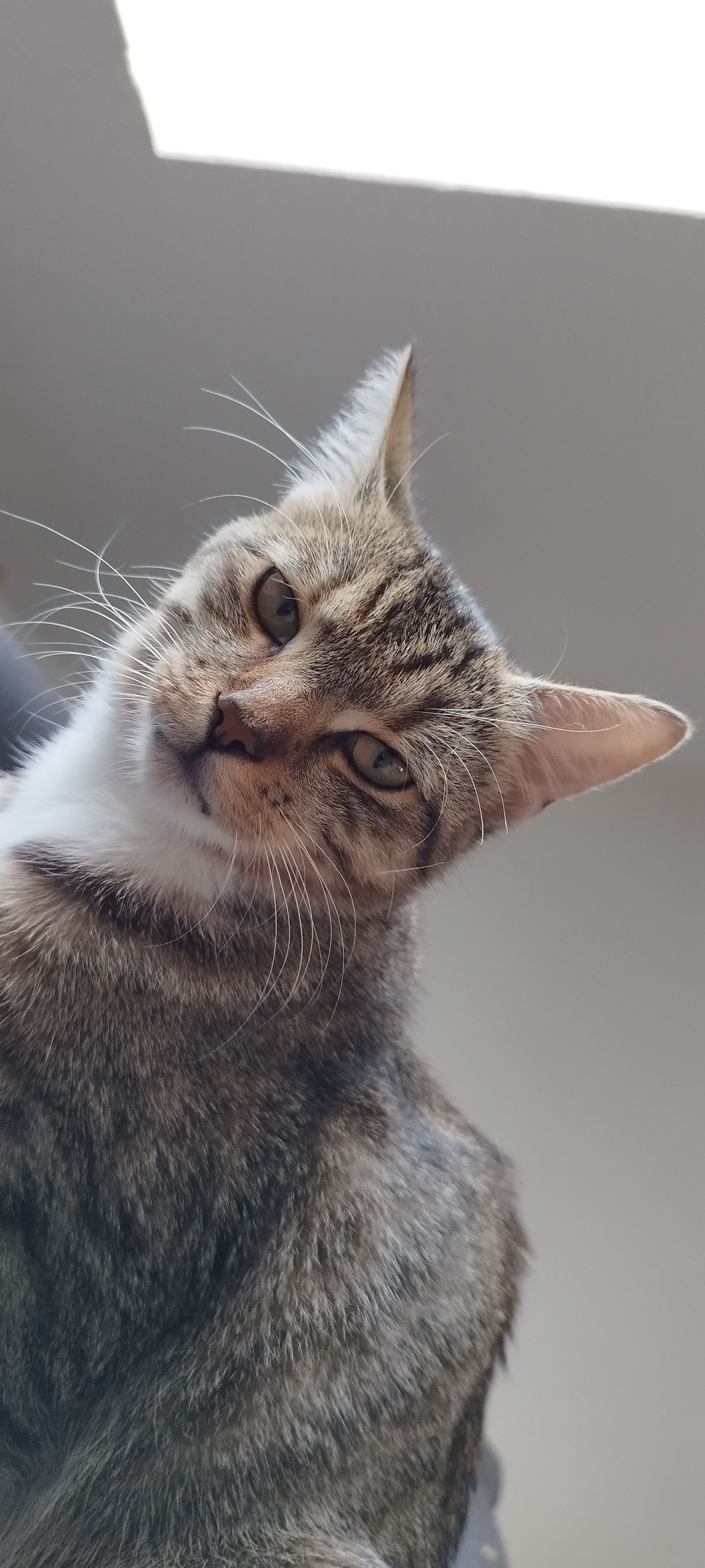 Moritz - Georgenstraße 22A, Spremberg