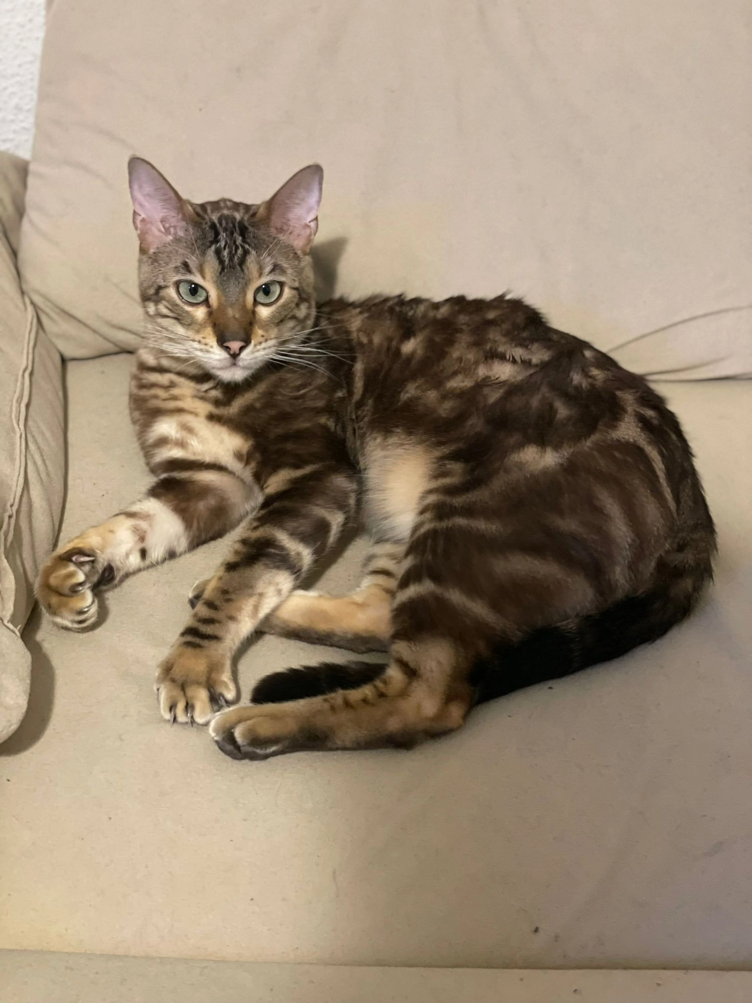 Mew - Straßäckerweg, Fürth