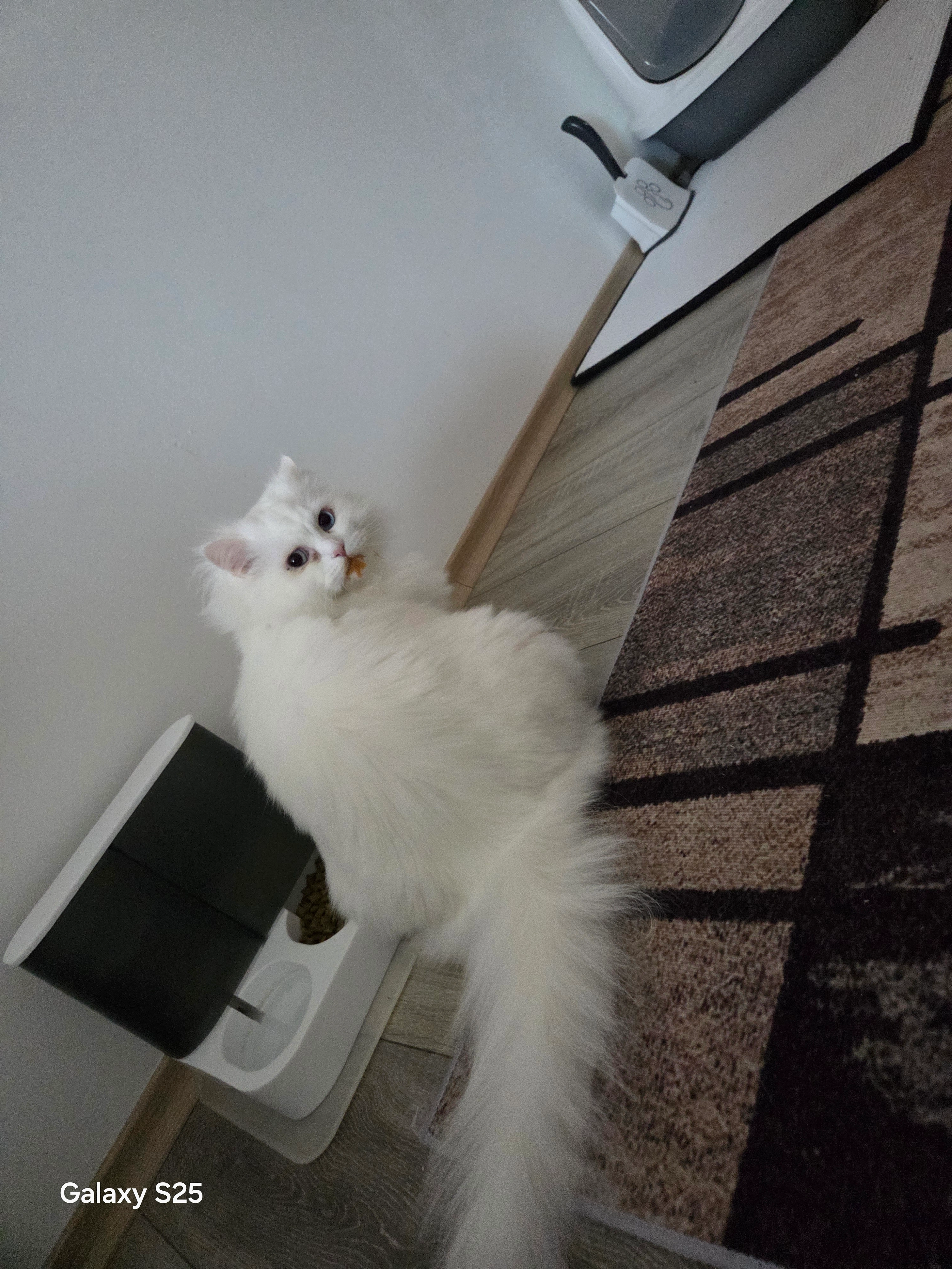 Assik - Sommerstraße, Fachbach