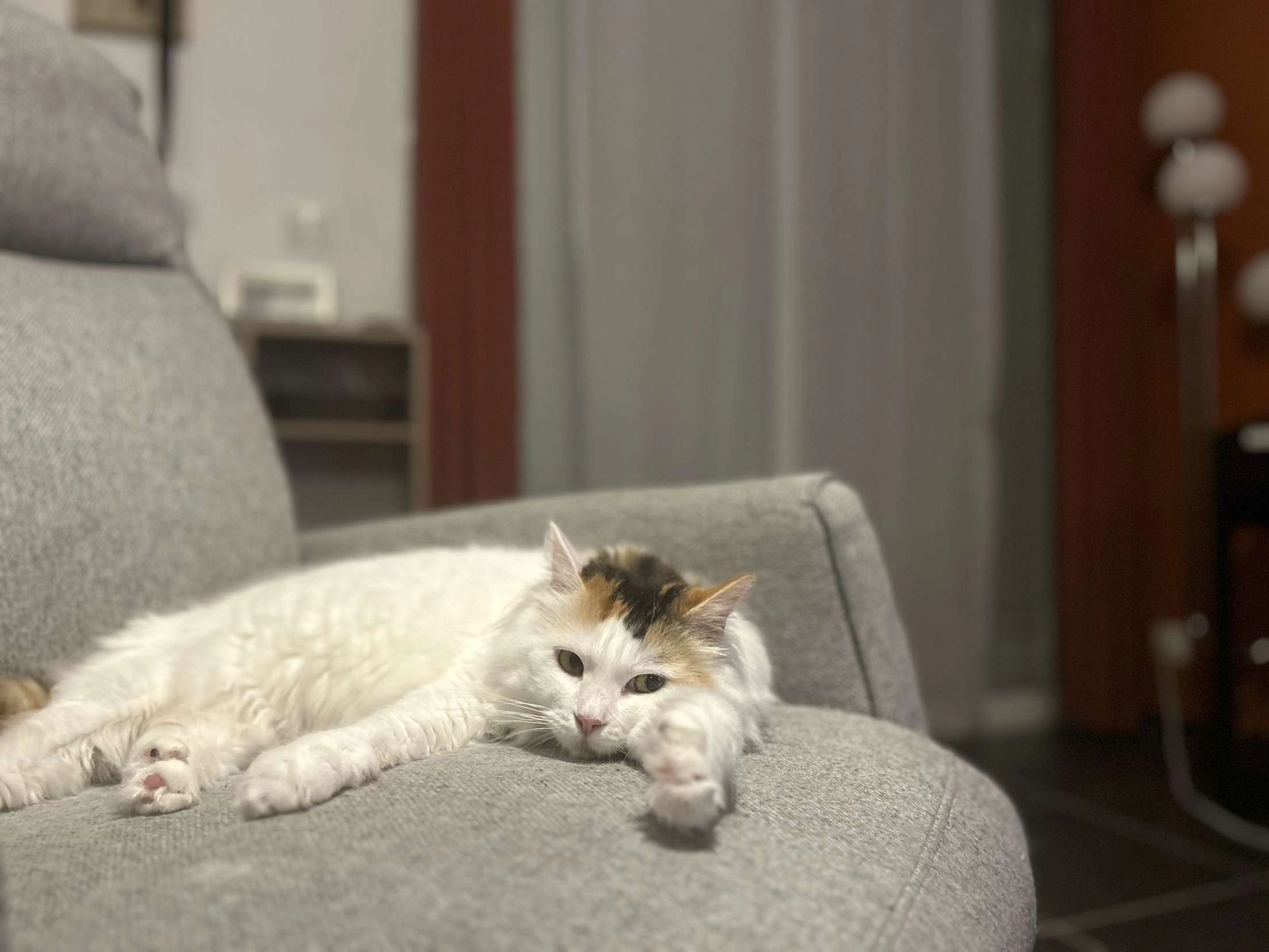 Ino - Lotissement Les Jardins de Ribray, Épannes