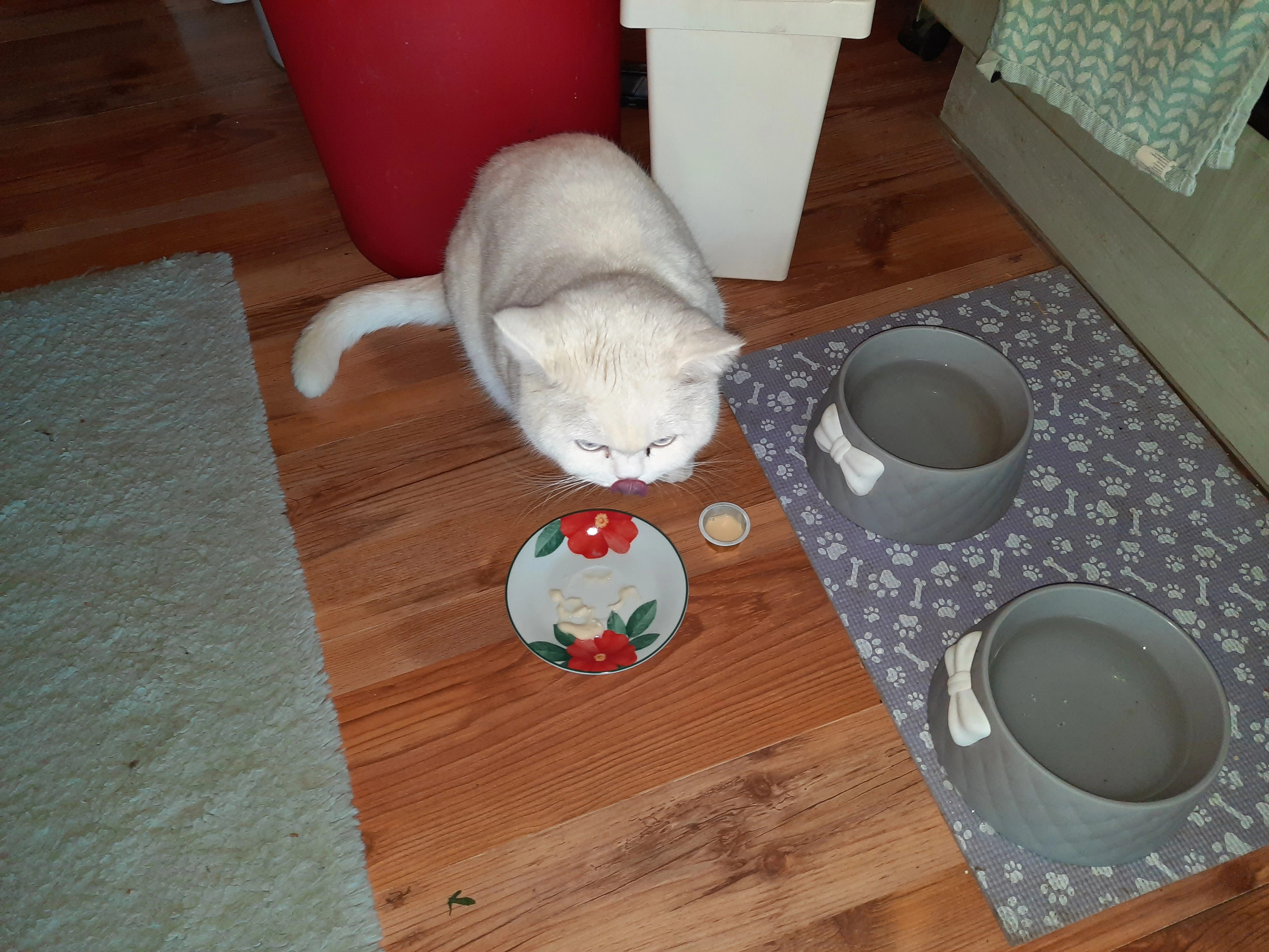 Bella  - Am Bollhof 53, Bielefeld