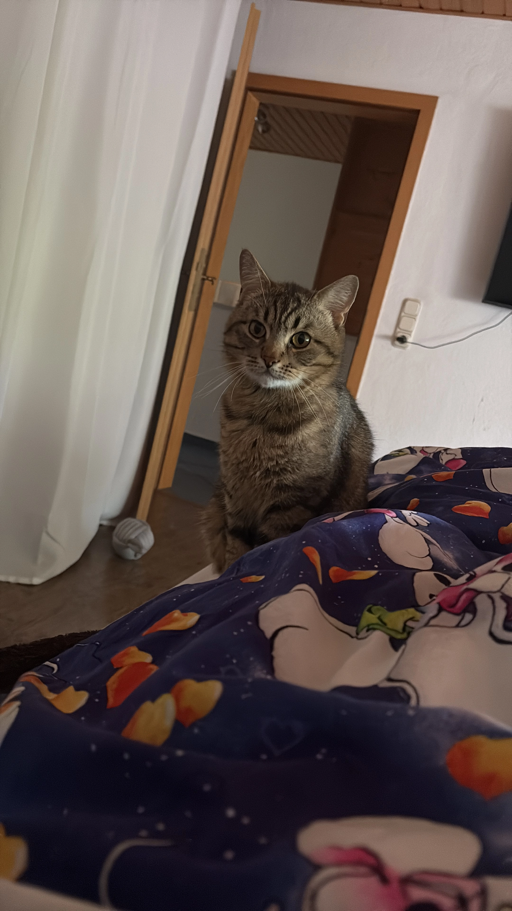 Aslan - Posener Straße, Siegen