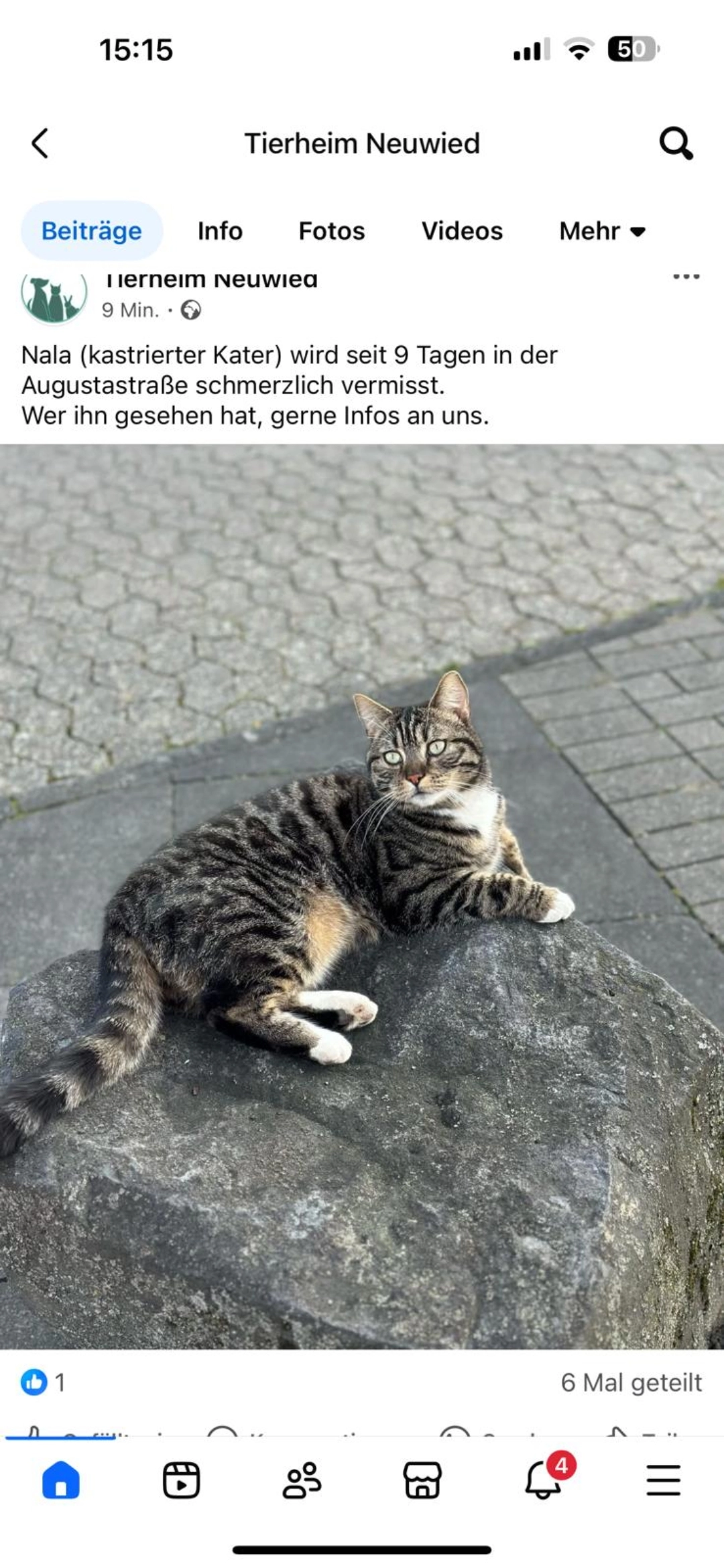 Nala - Augustastraße, Neuwied