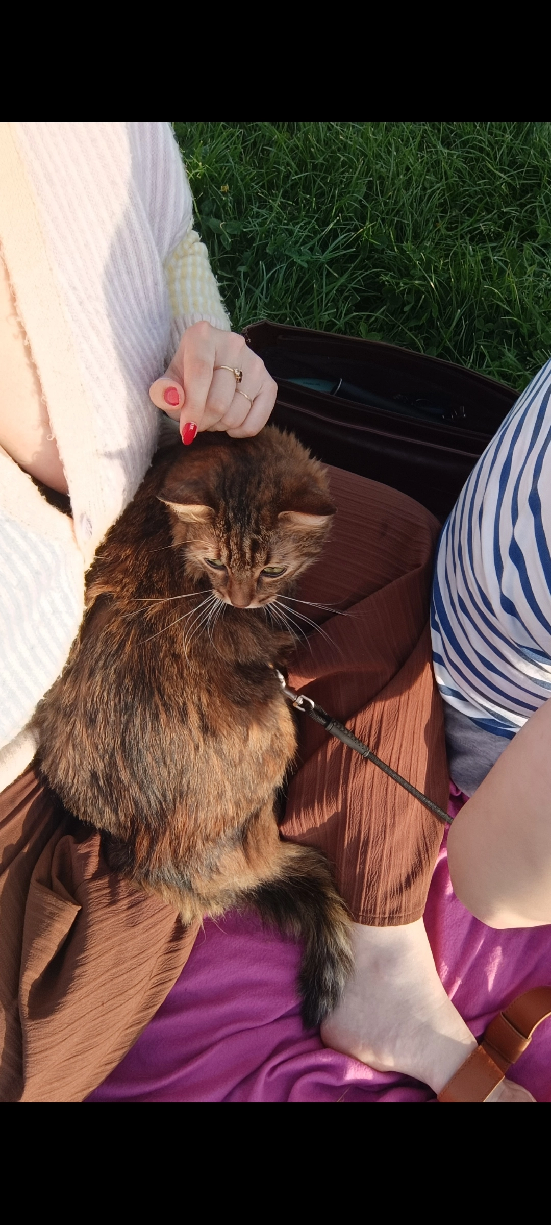 Ebi - Avenue Charles de Gaulle, Castres