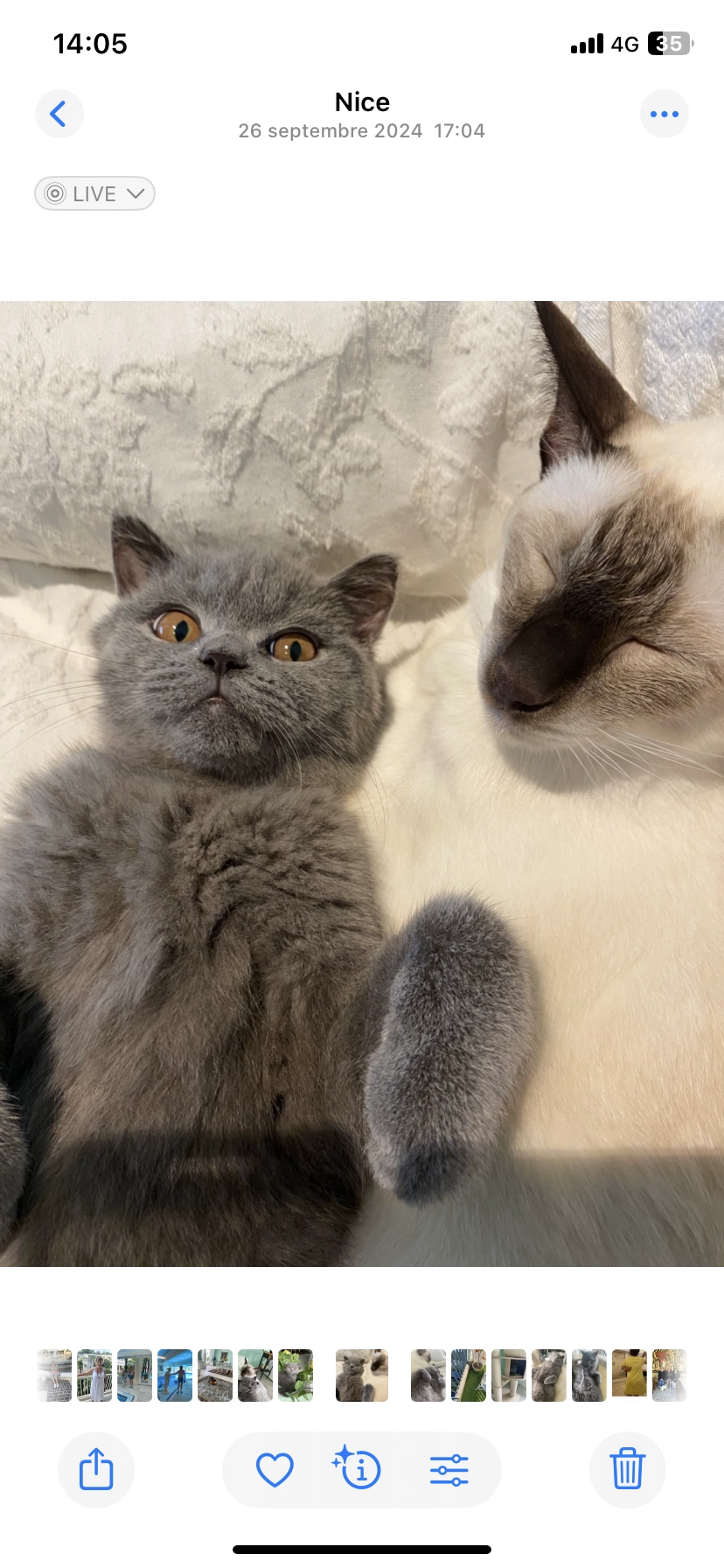 Boris - Corso Giuseppe Garibaldi, Baveno