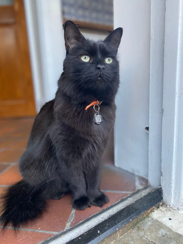 Ramesses - George Street, Shipley