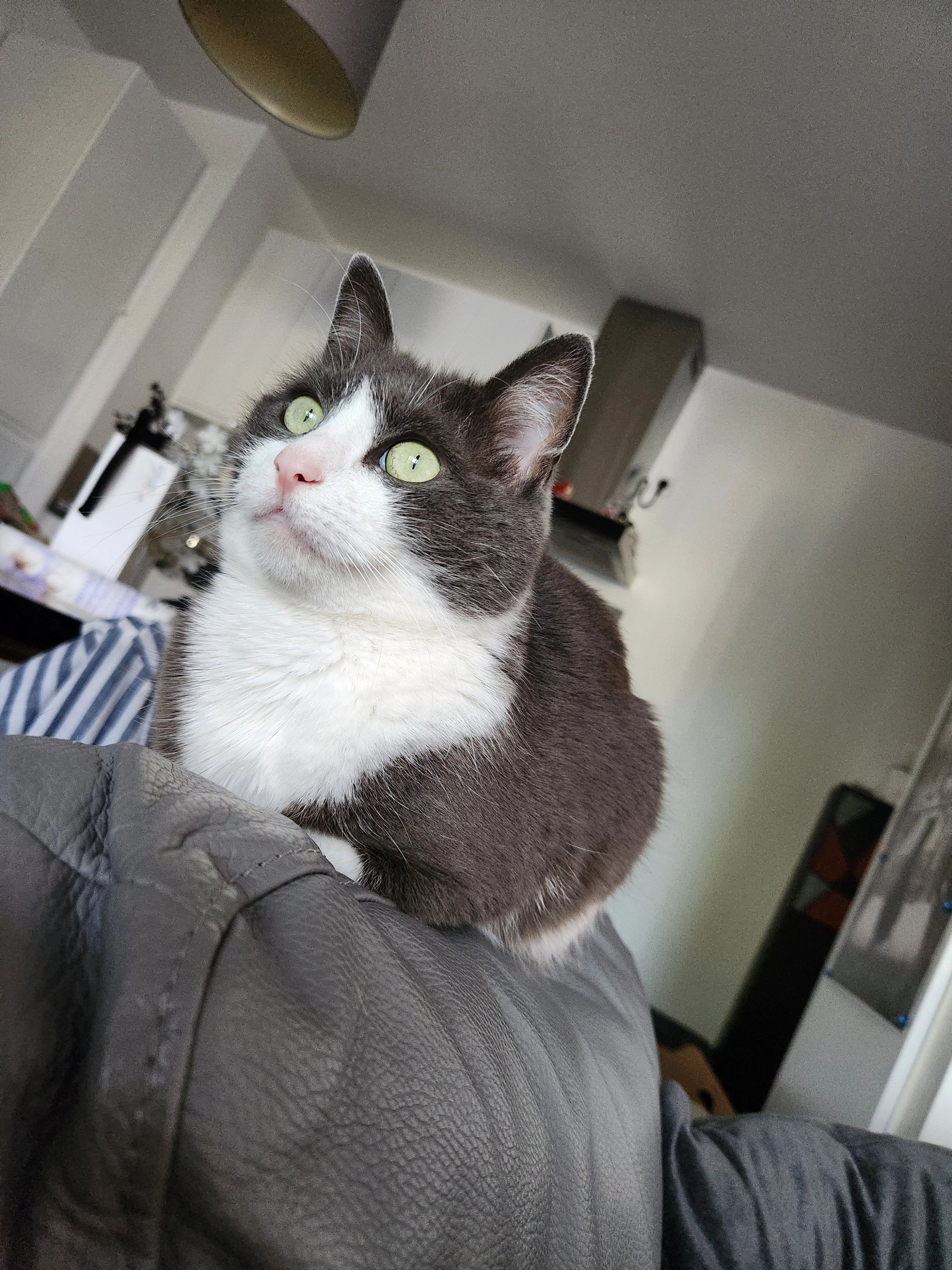 Bounty - 35 Rue Nationale, Thorigné-Fouillard