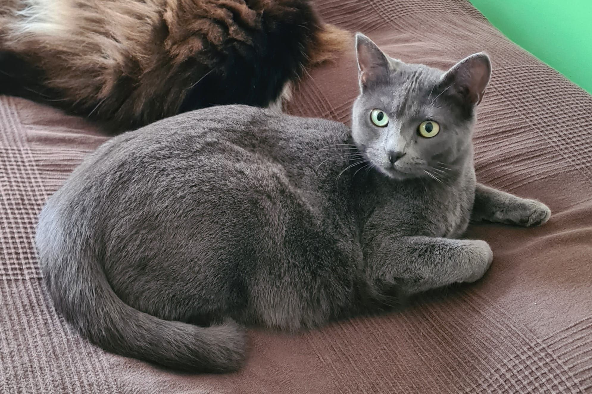 Nori - Mühlwiesenstraße, St. Georgen im Schwarzwald