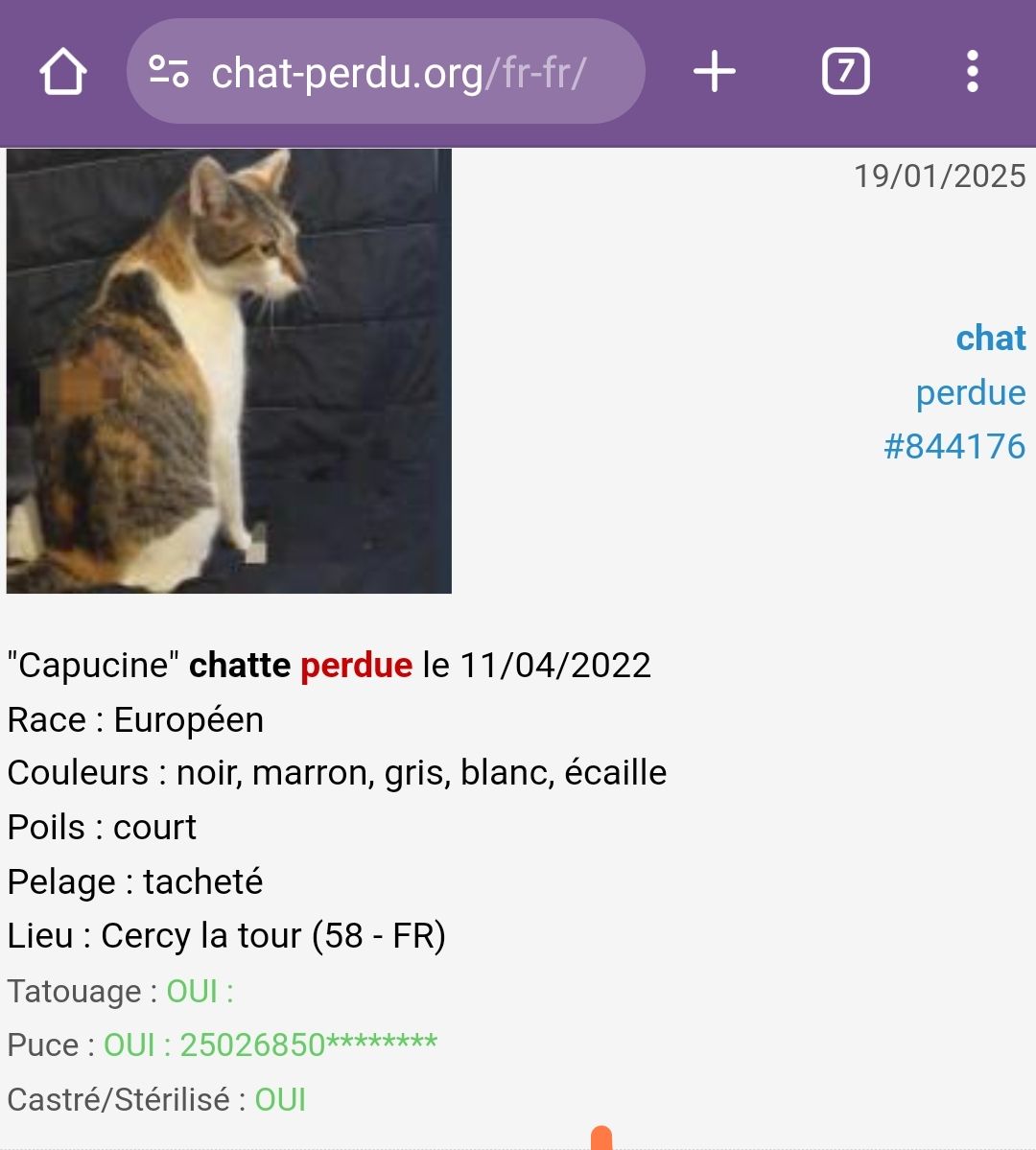 Capucine  - Rue François Mitterrand, Cercy-la-Tour