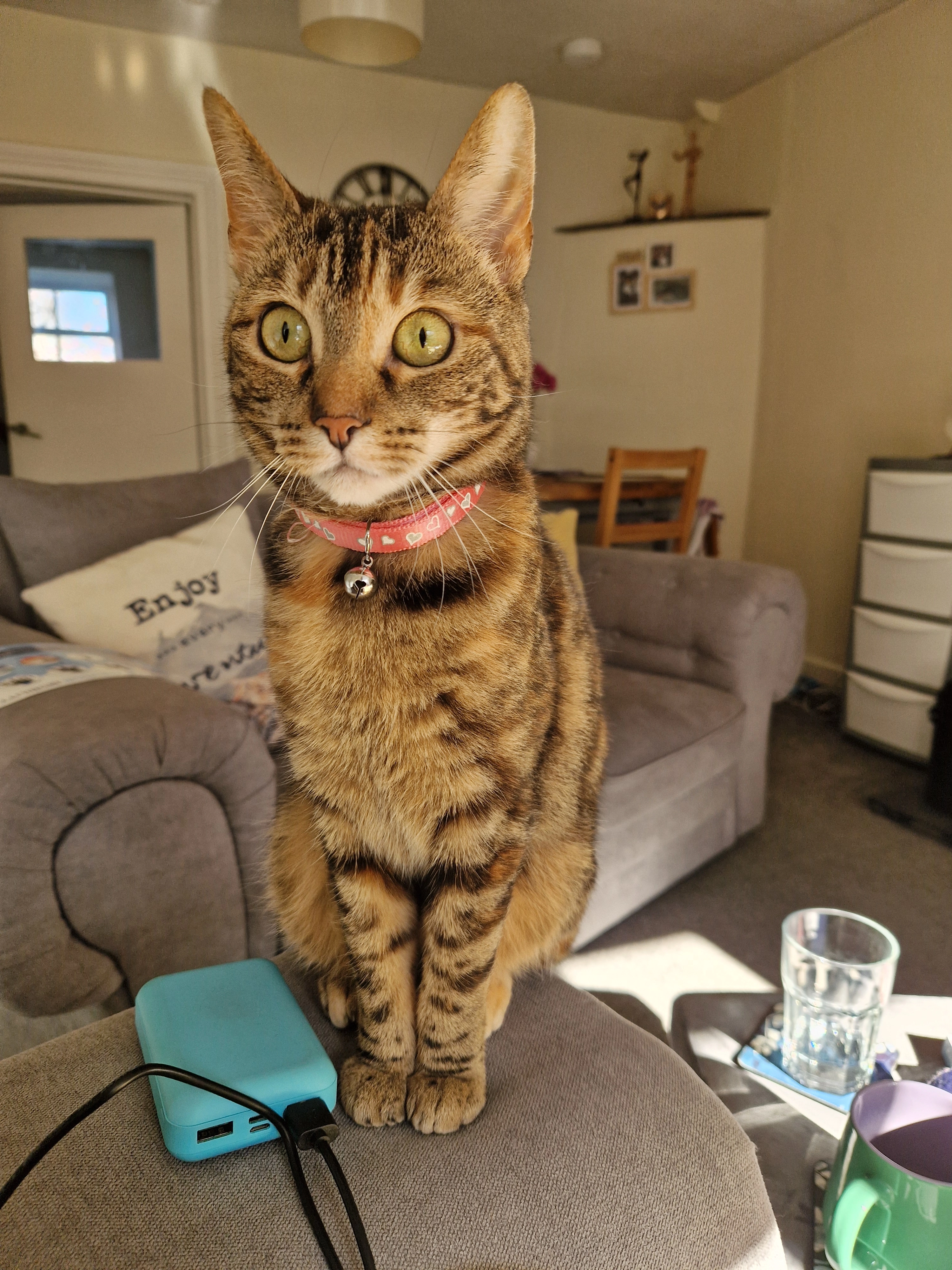 Lola - 14 Church Street, Clitheroe