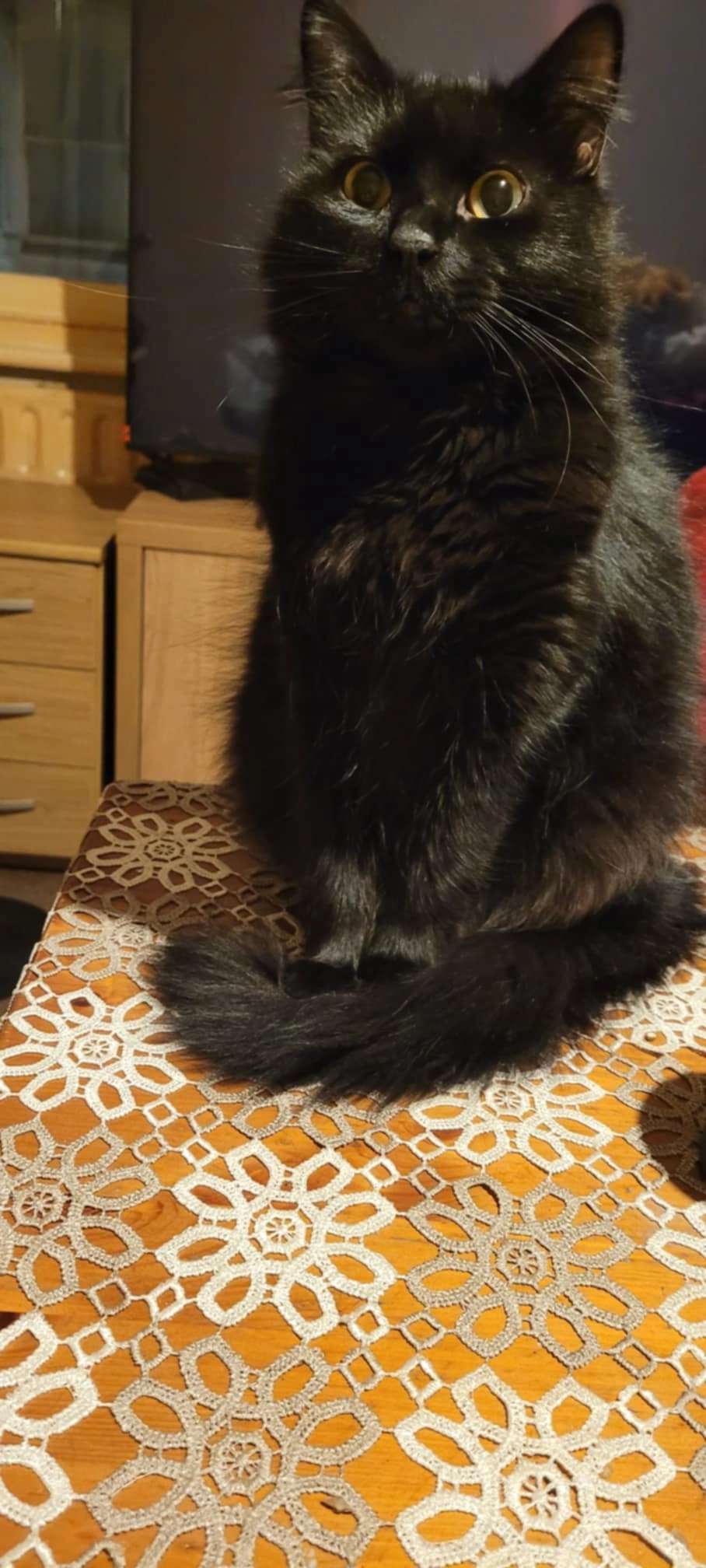 Felicio - PE12 7, Spalding