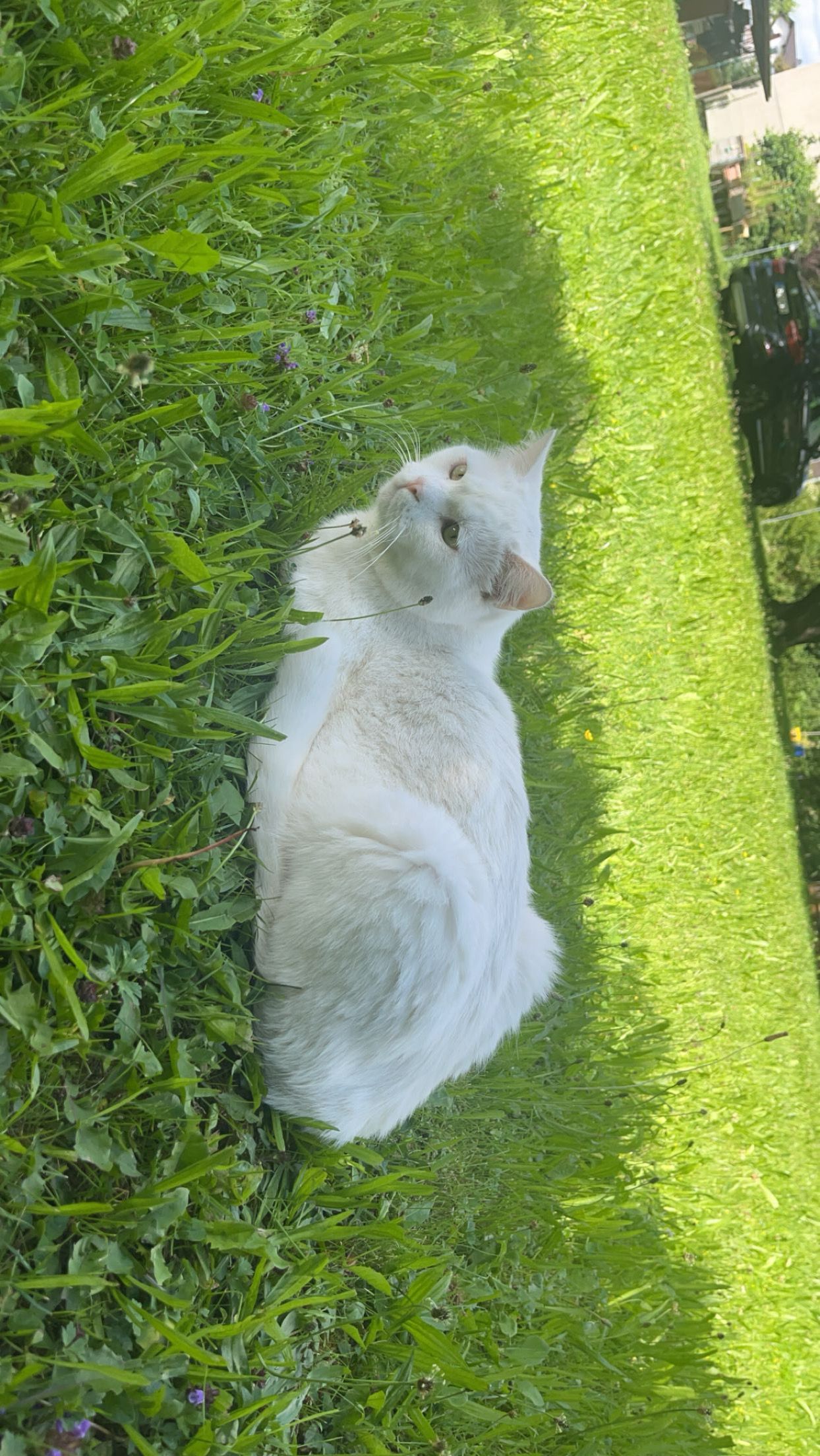 Nono - Beim Alten Turnplatz, Wertingen