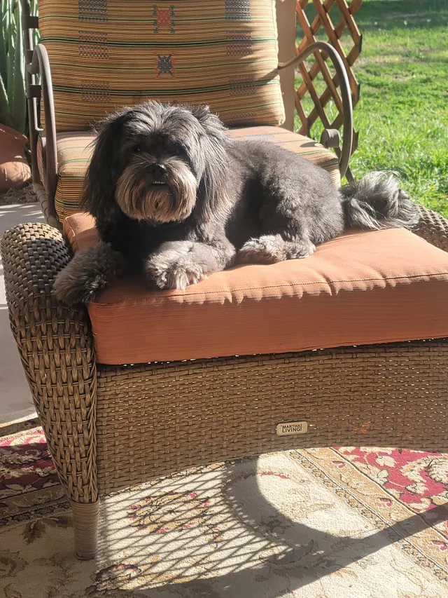Georgio - North Pima Road, Scottsdale